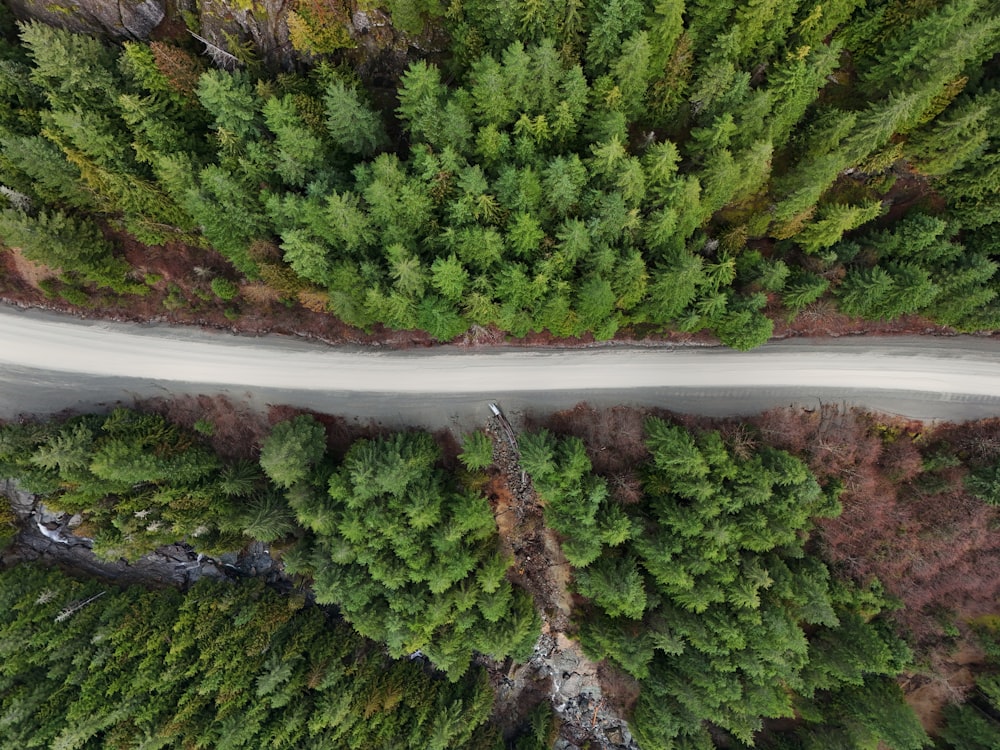 an aerial view of a road in the middle of a forest