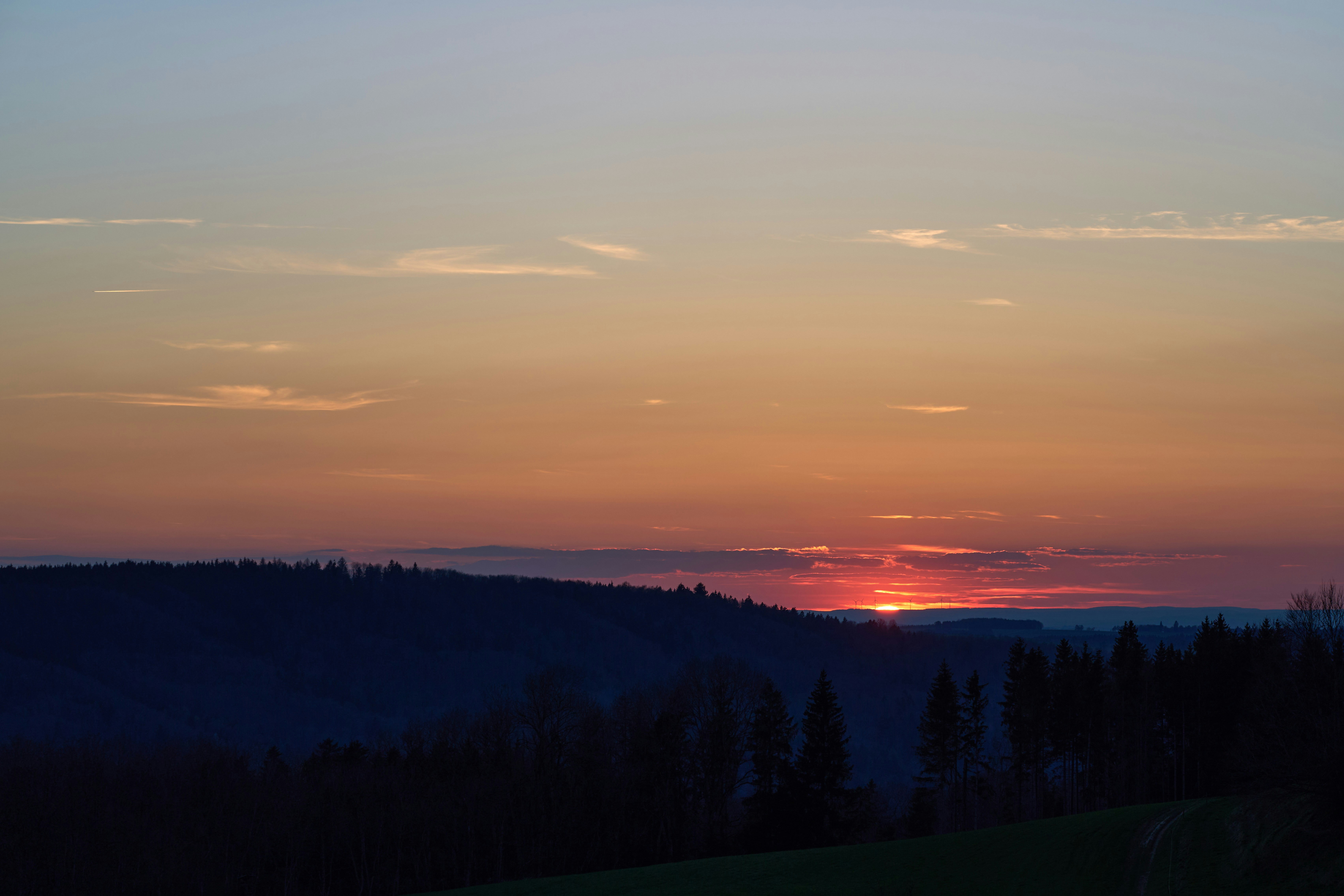 Photo by wolfgang_hasselmann