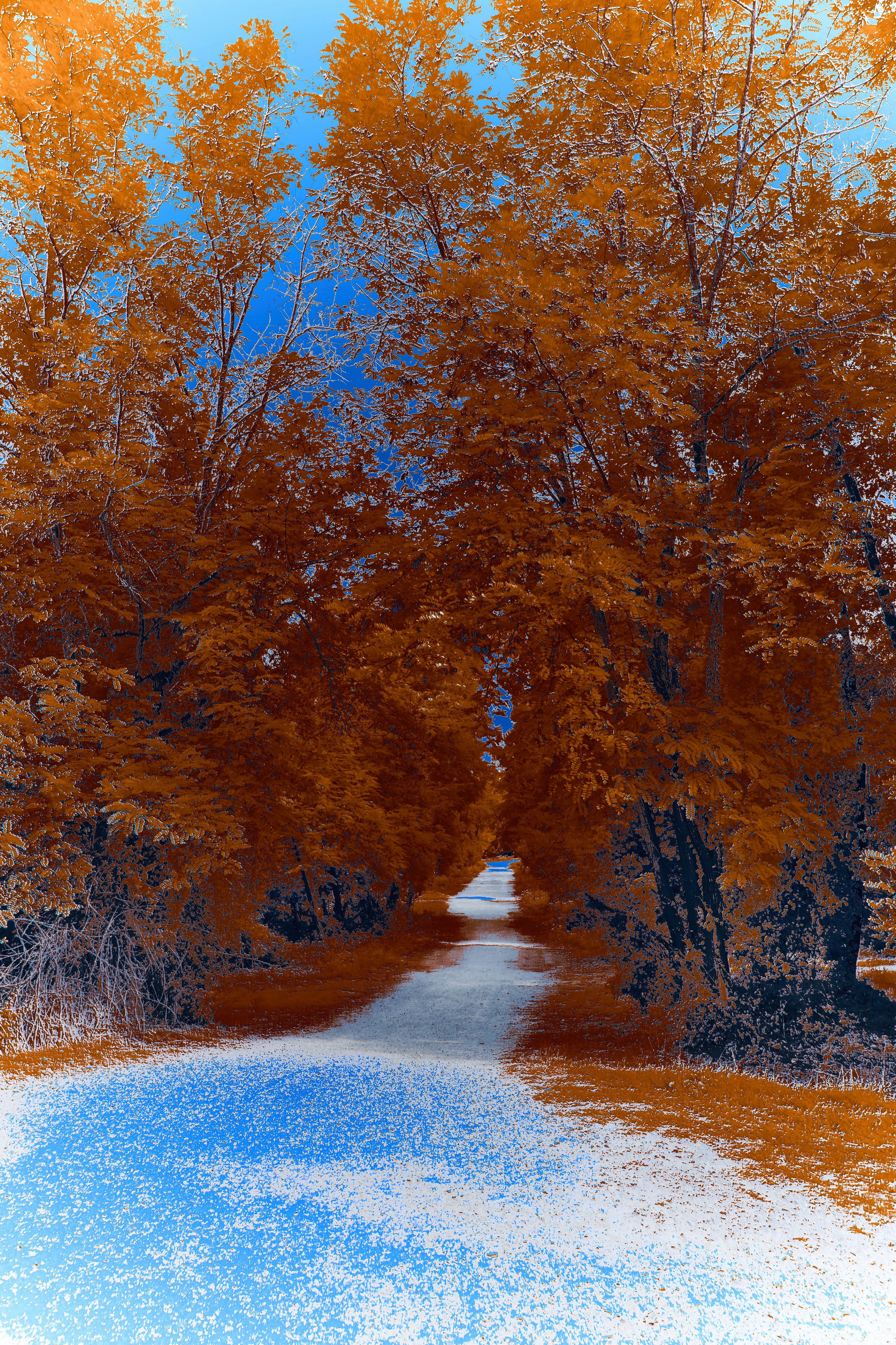 Photo by wolfgang_hasselmann