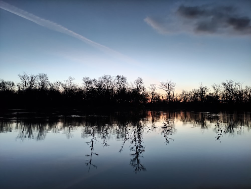 a body of water with trees in the background