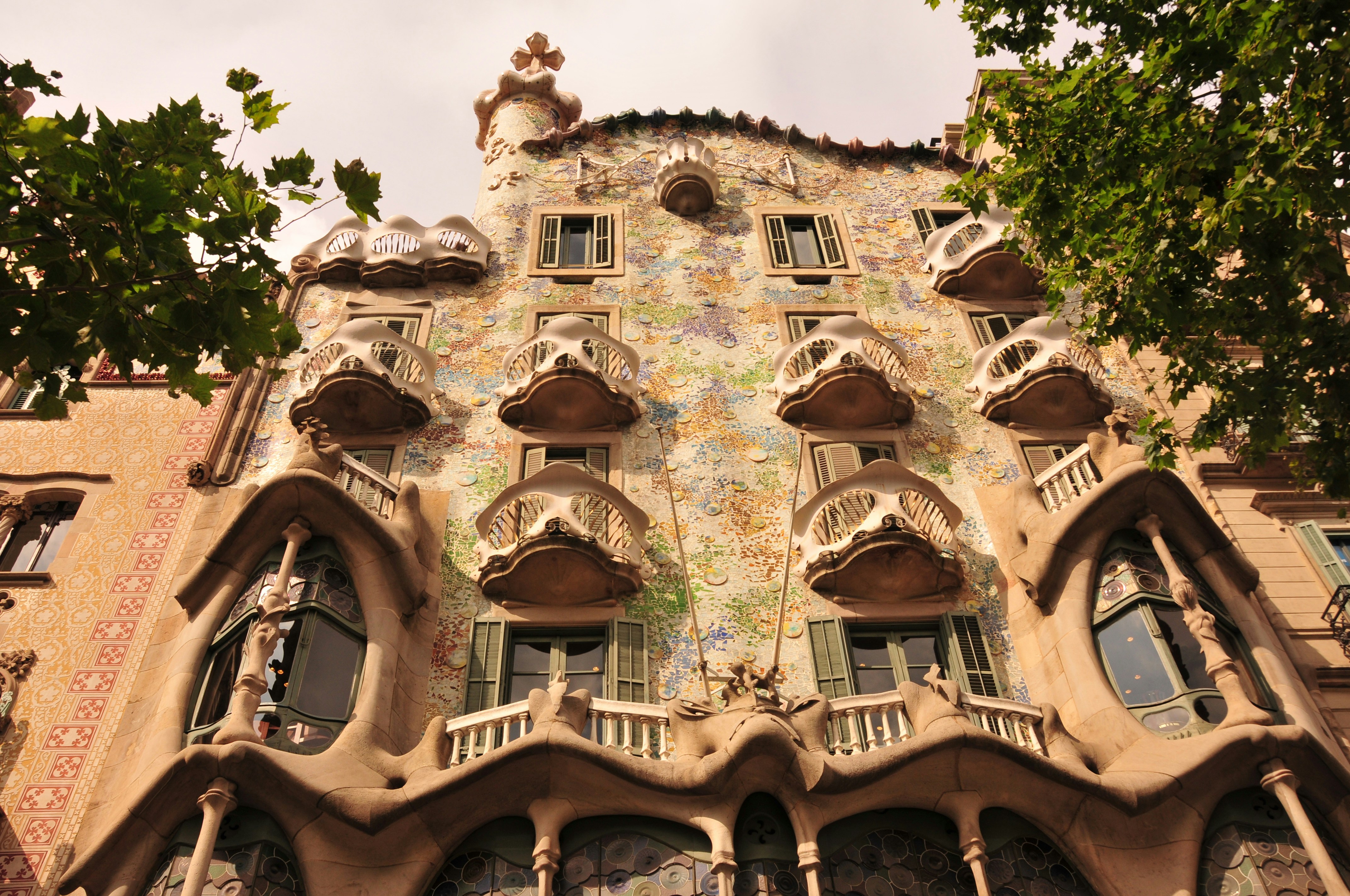 Image by Amira El Fohail via Unsplash