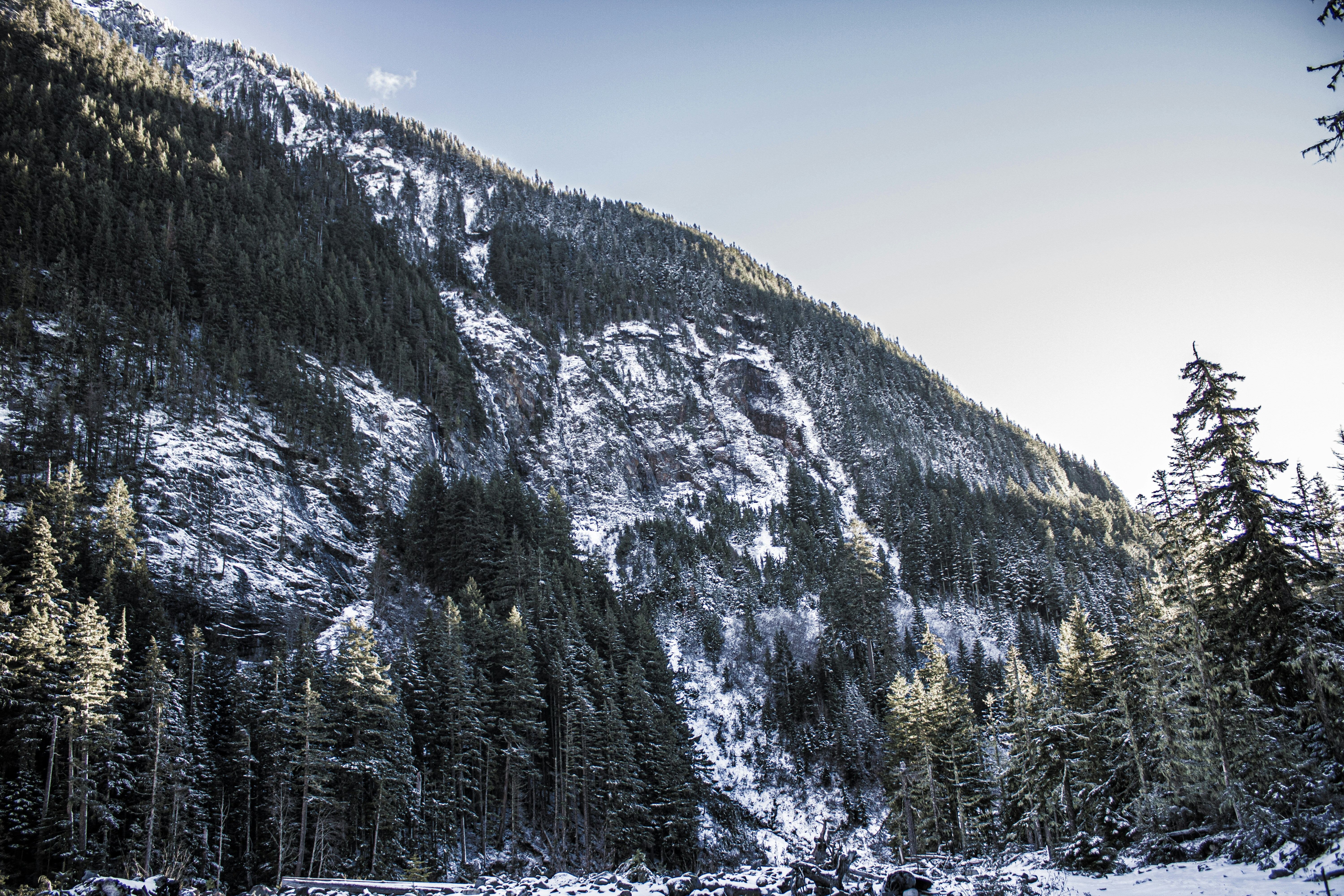 Photo by prphotography262