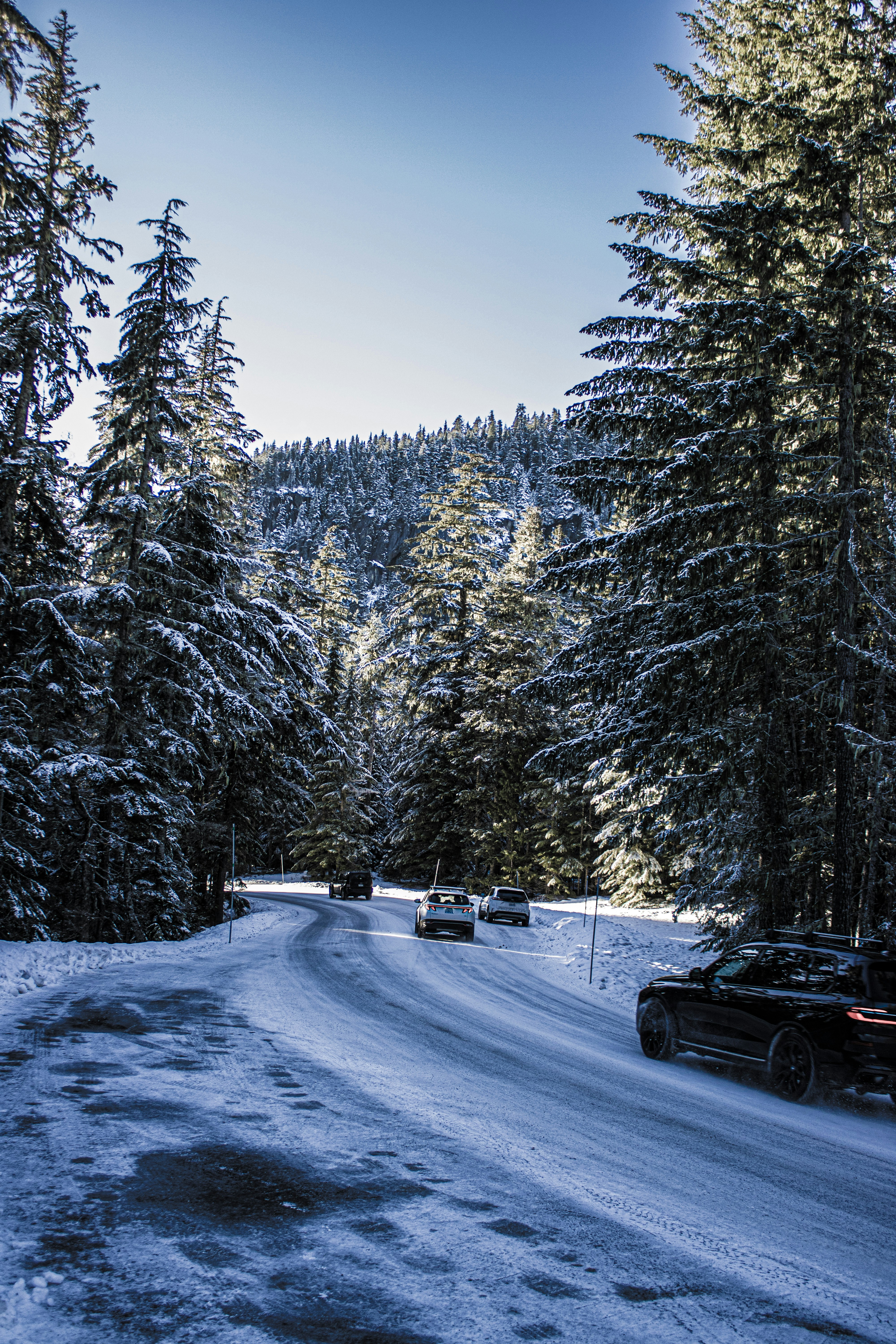 Photo by prphotography262