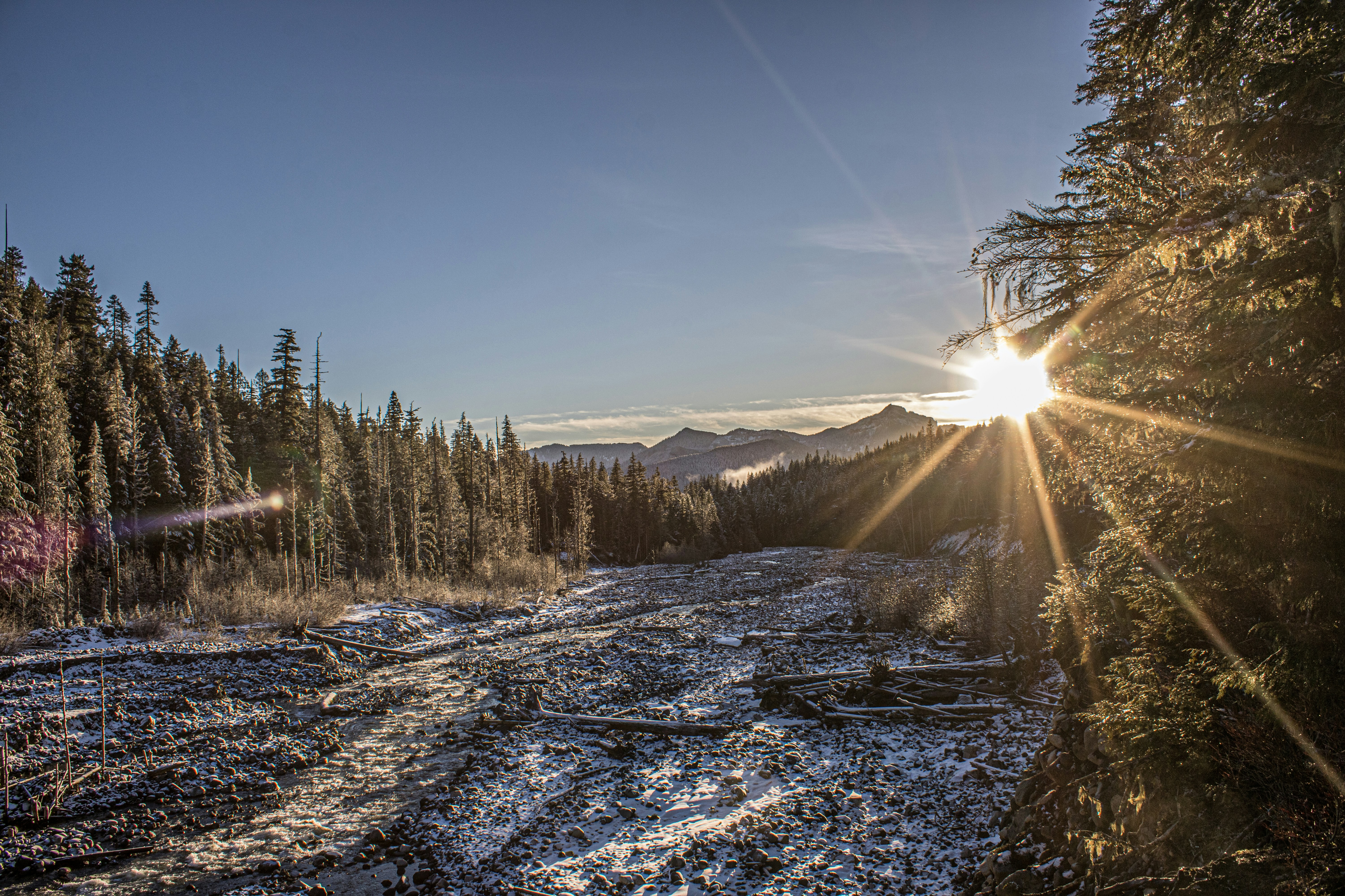 Photo by prphotography262