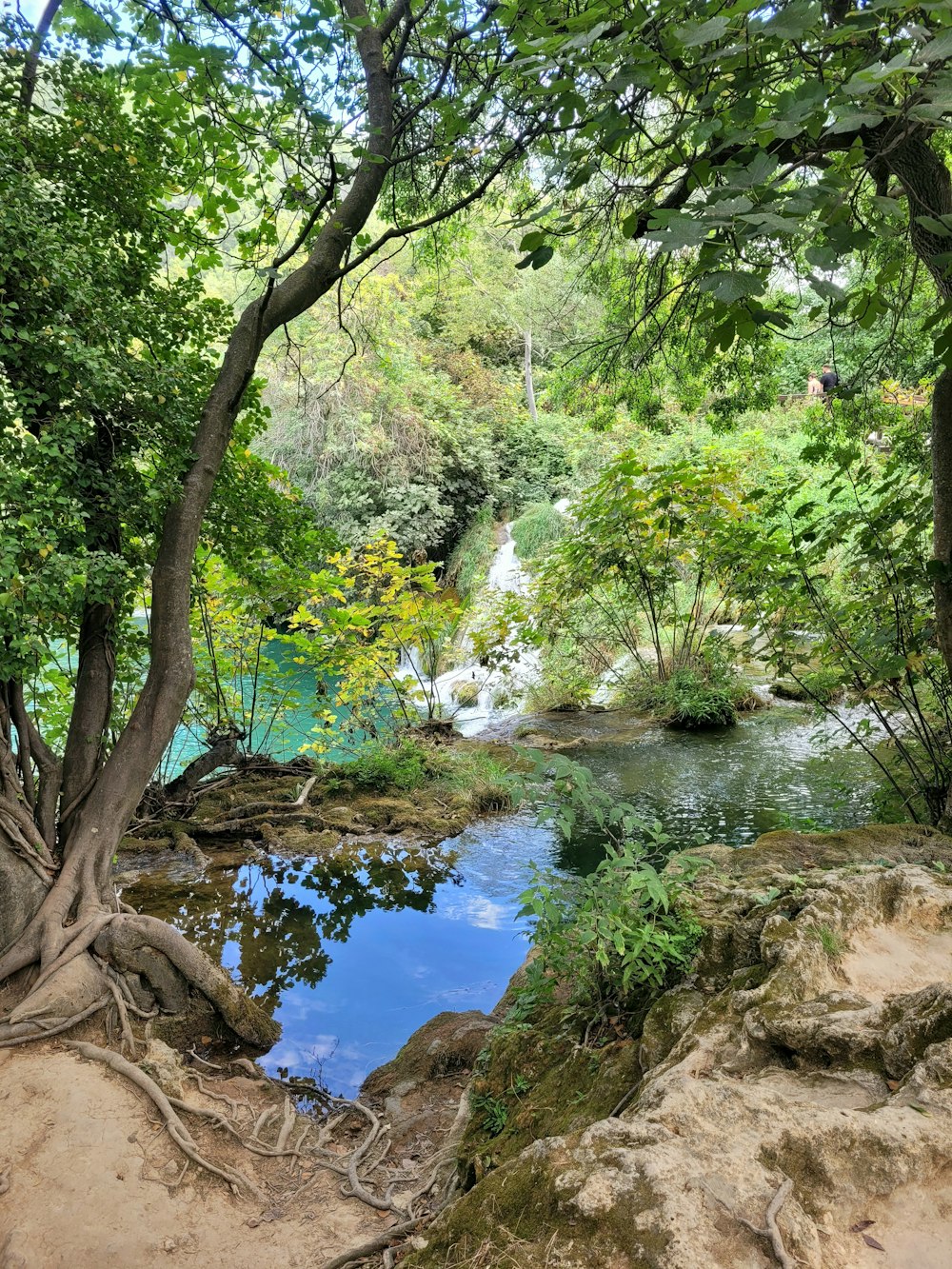 a small river surrounded by trees and rocks