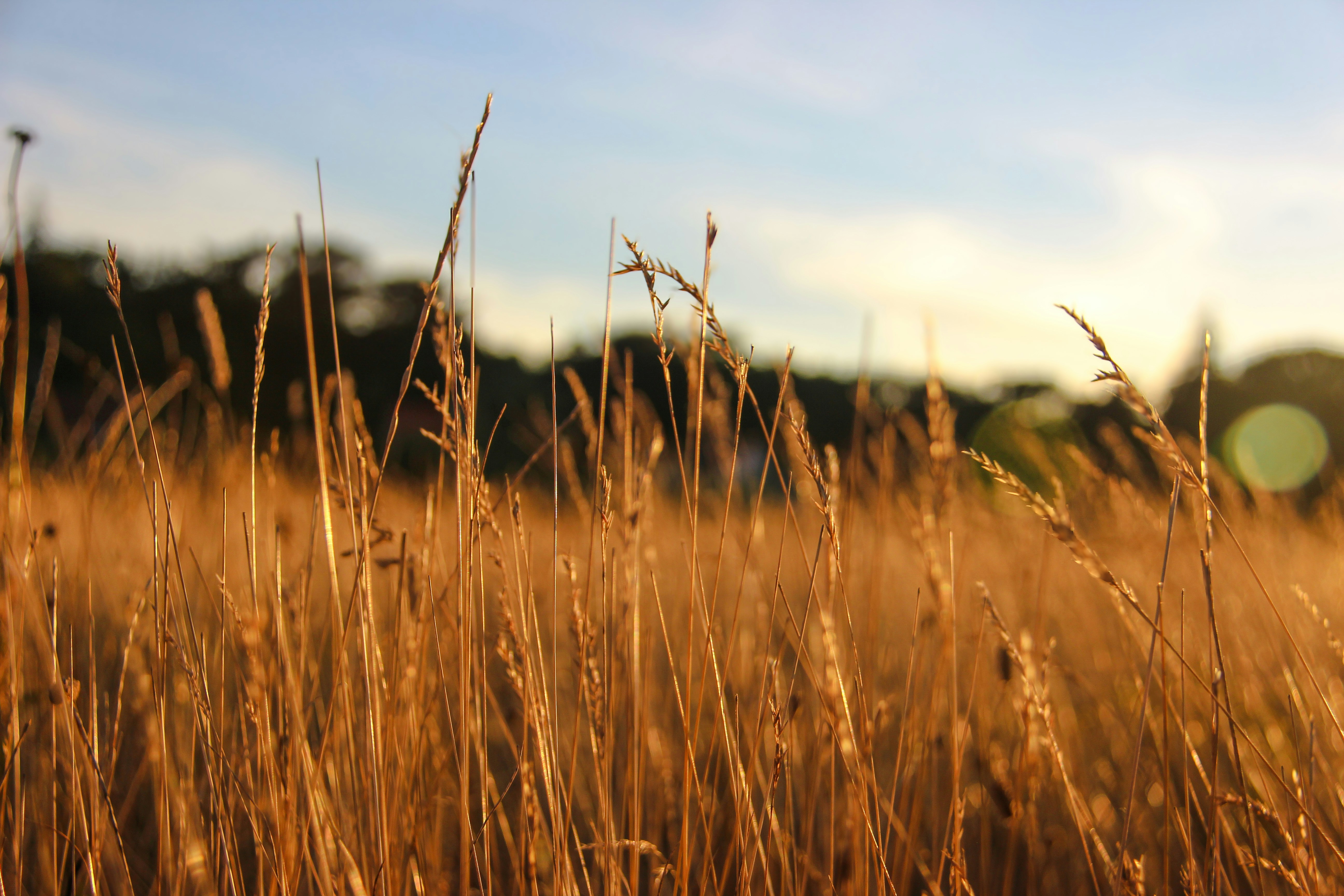 Photo by shotsbyzach