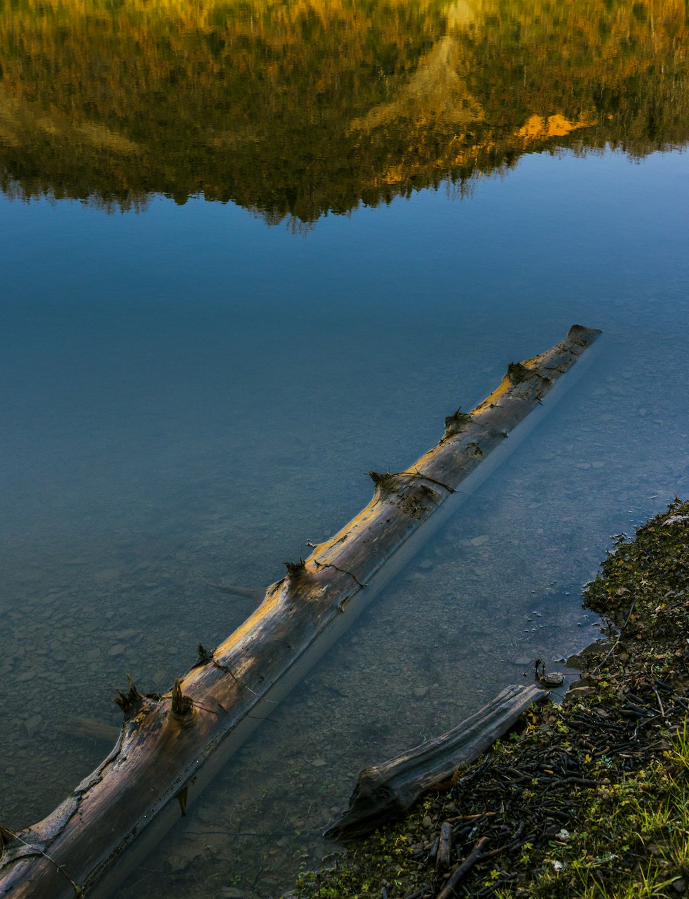 a log laying in the water next to the shore