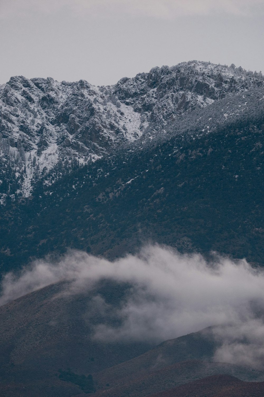 a mountain covered in snow next to a forest