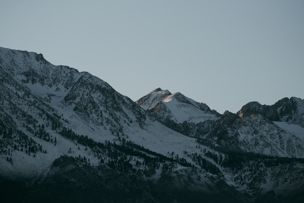 a snow covered mountain with trees on it