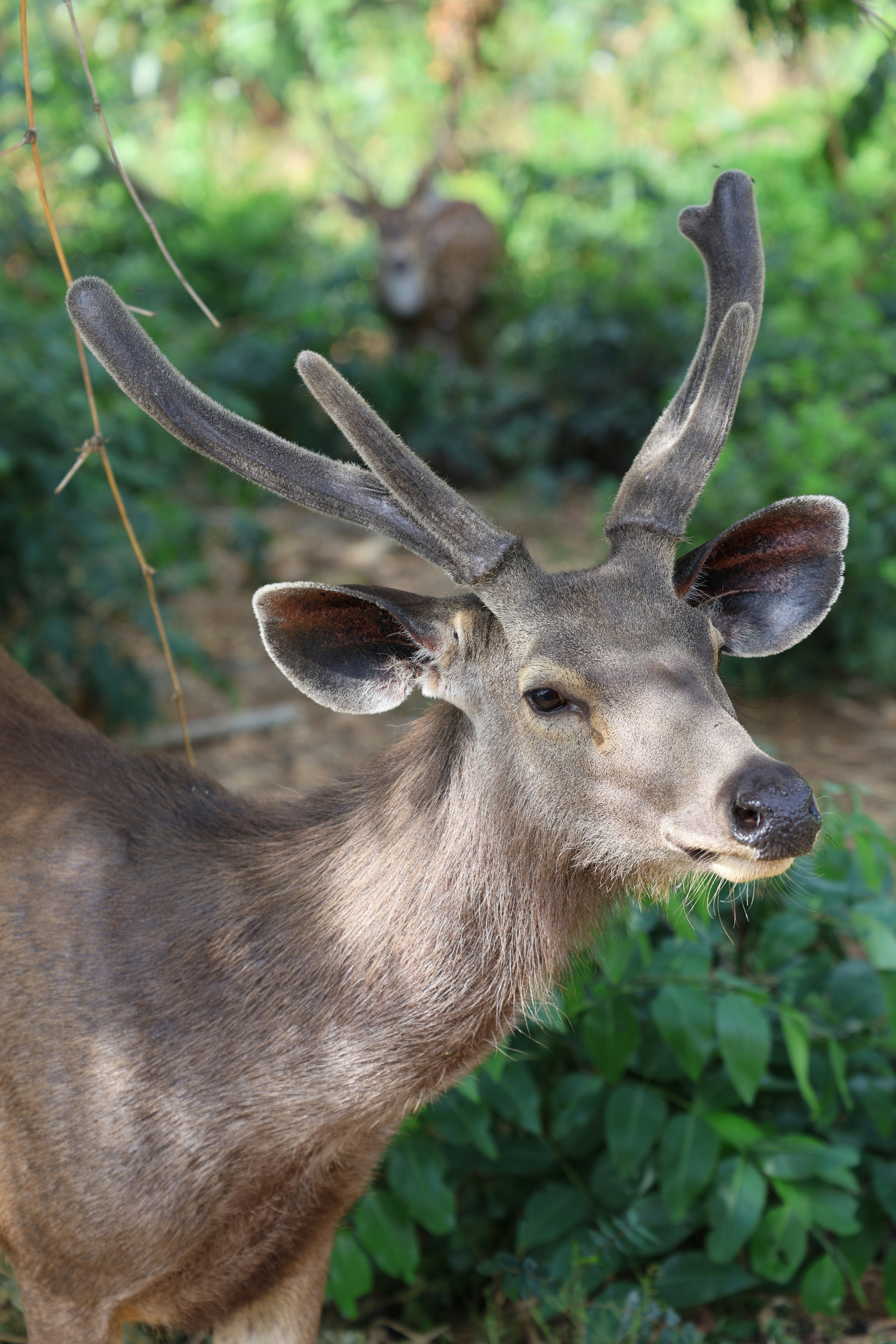 Photo by venkat_meta