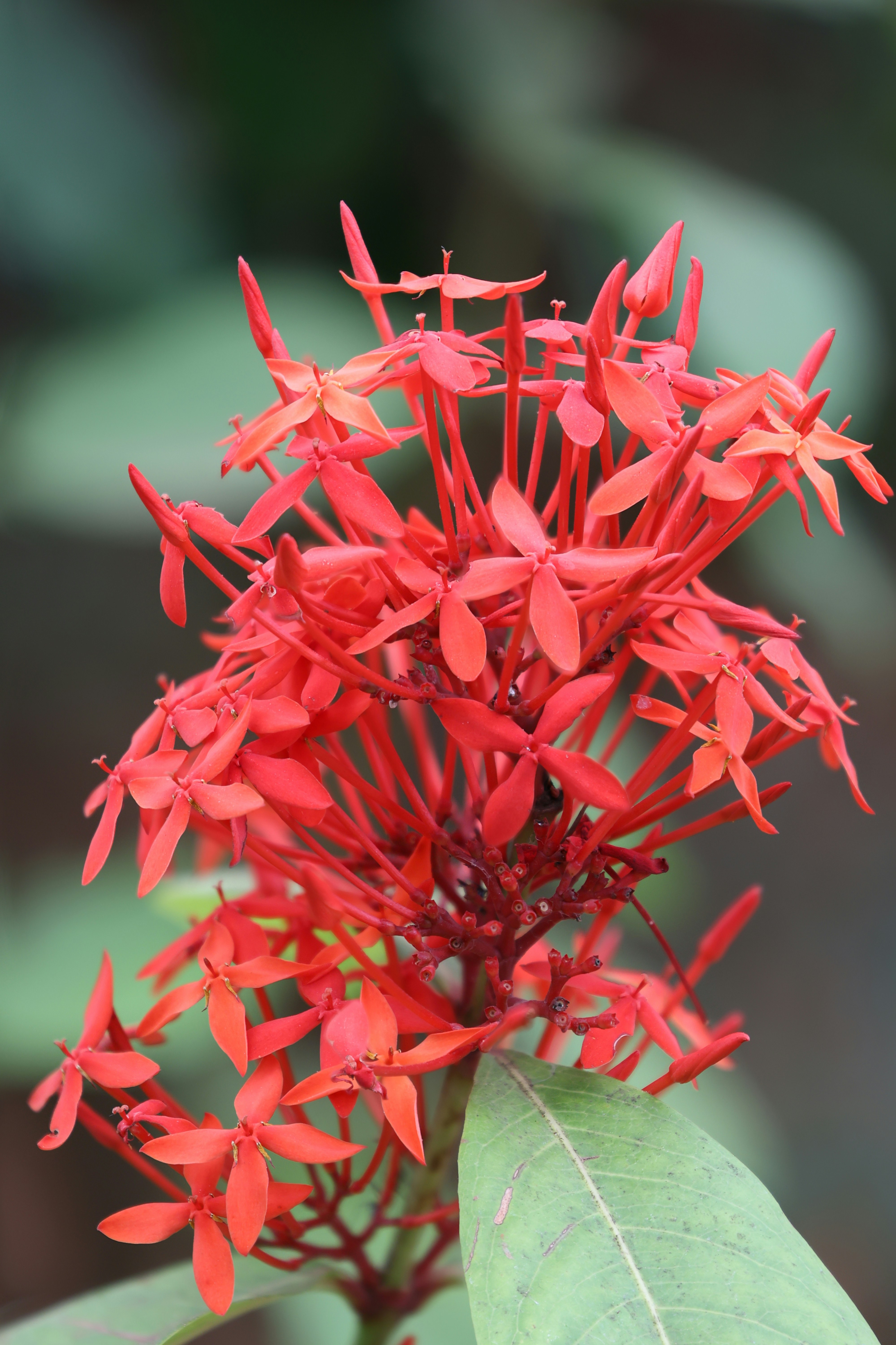 Photo by venkat_meta