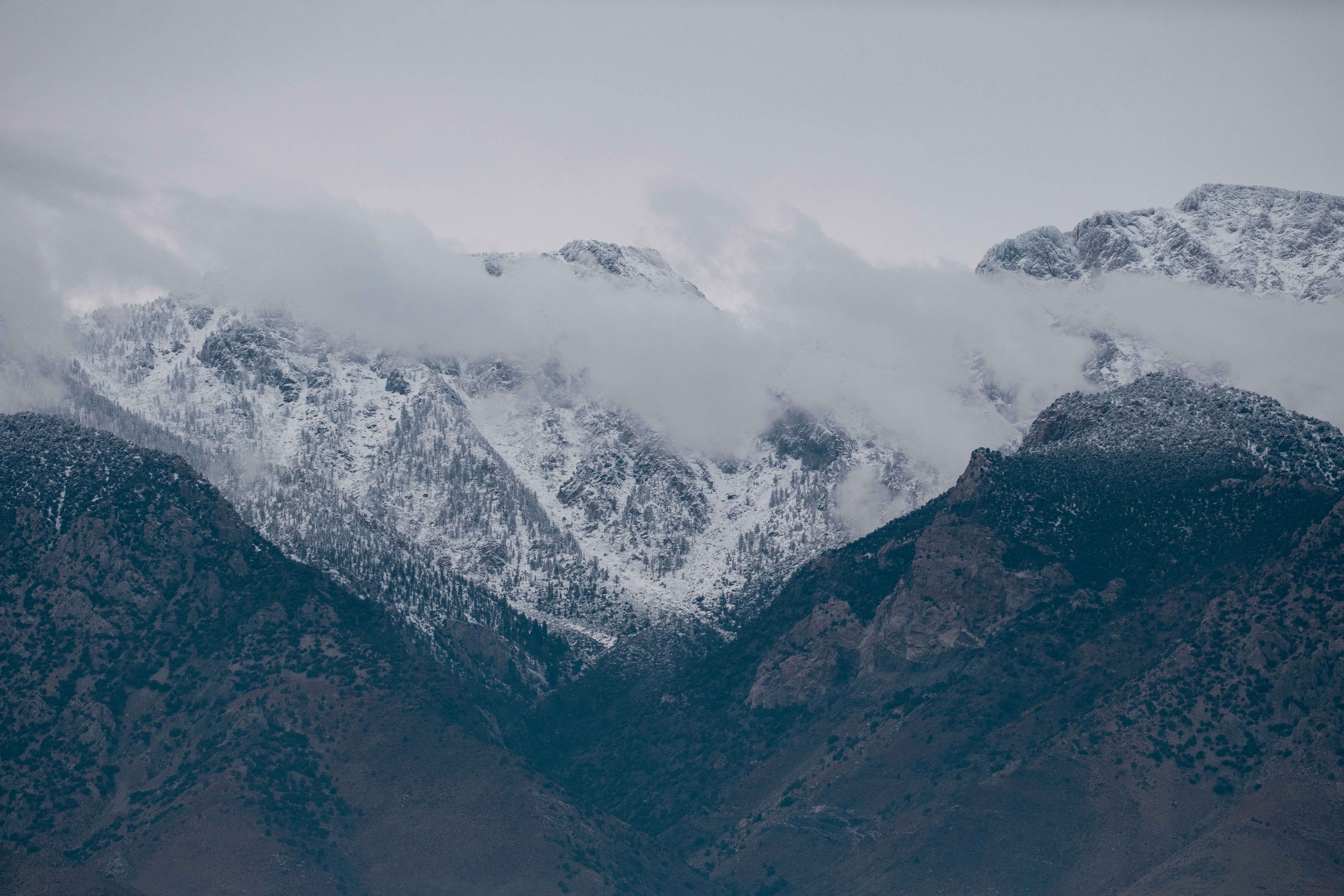 Photo by cestmoisheedy