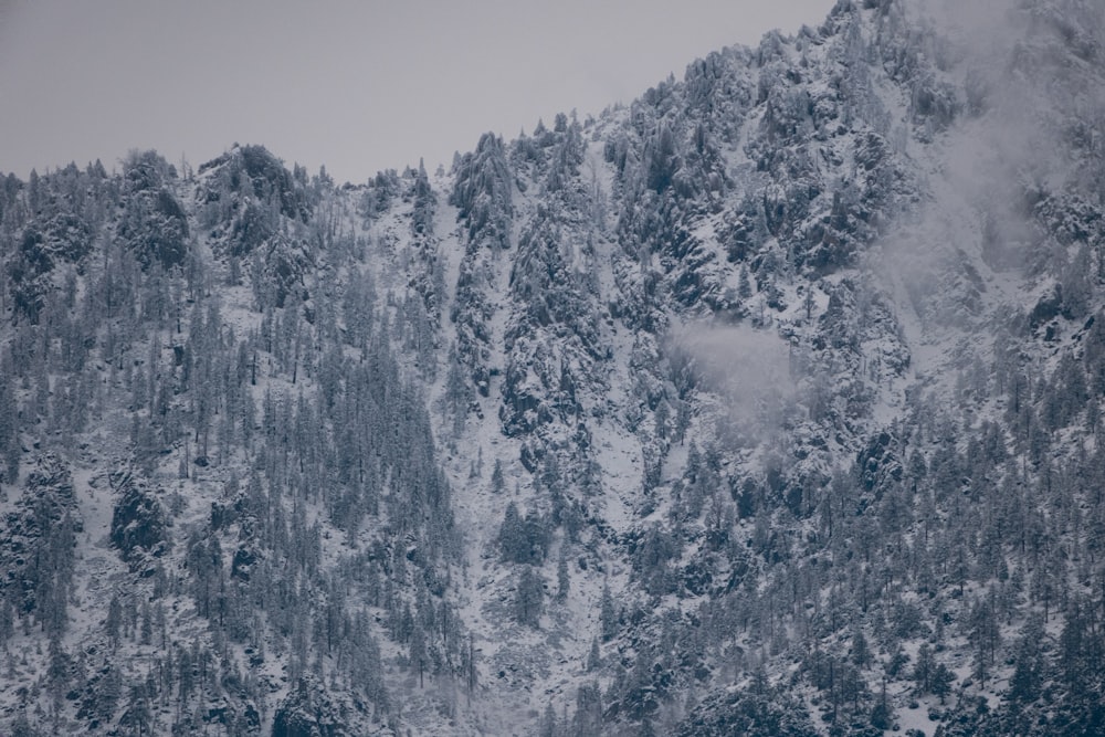 a mountain covered in snow with trees on the side