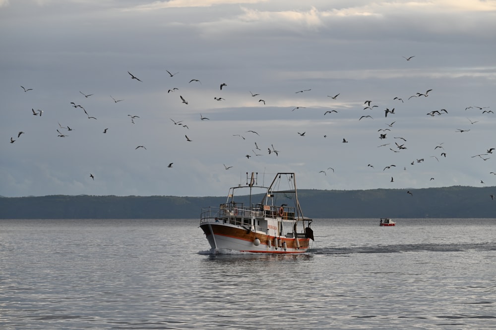 a boat in the water with a lot of birds flying around