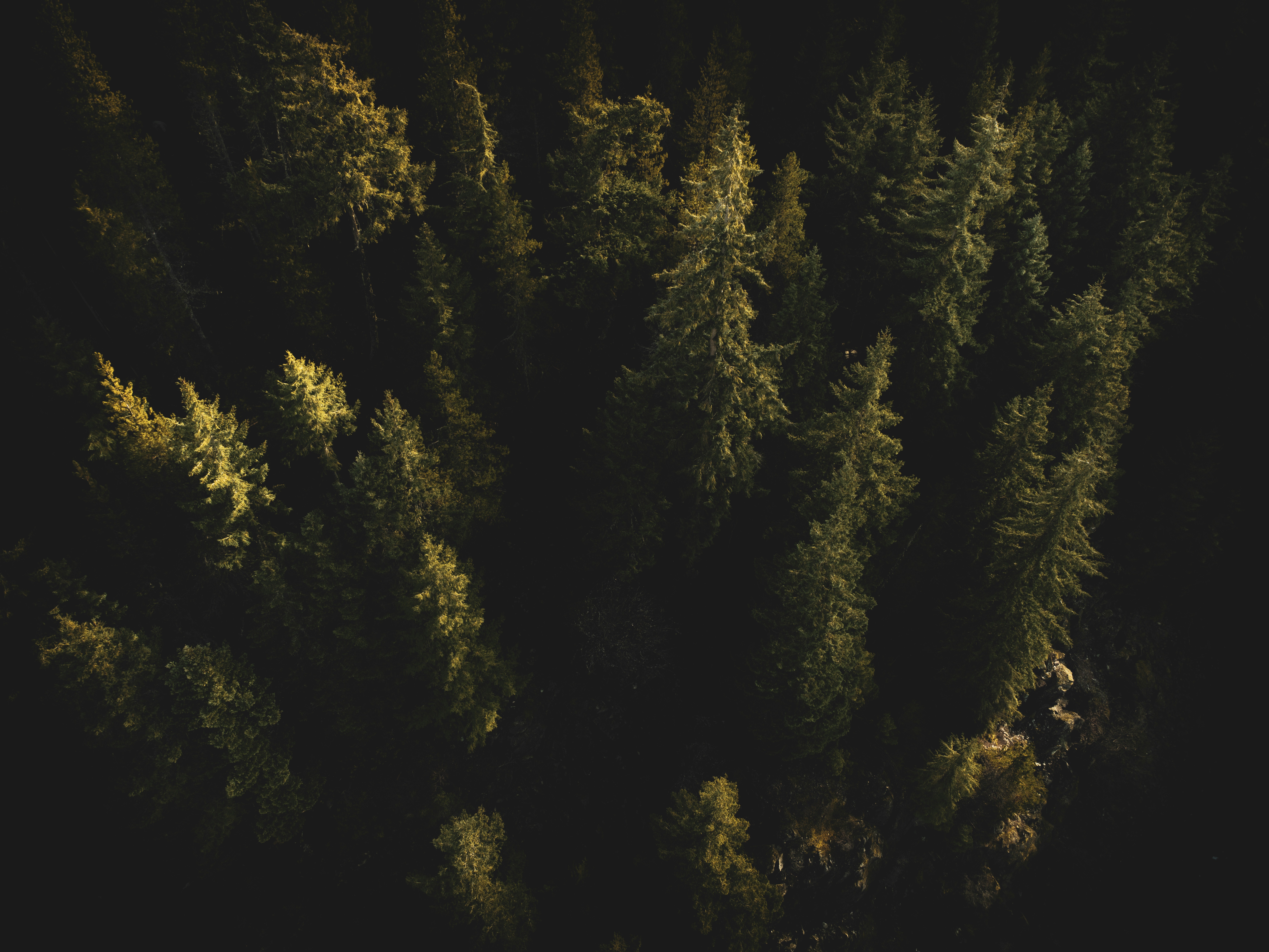 Photo by dillon_hunt