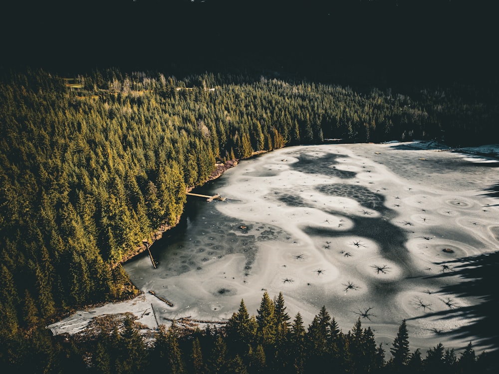 an aerial view of a snow covered forest