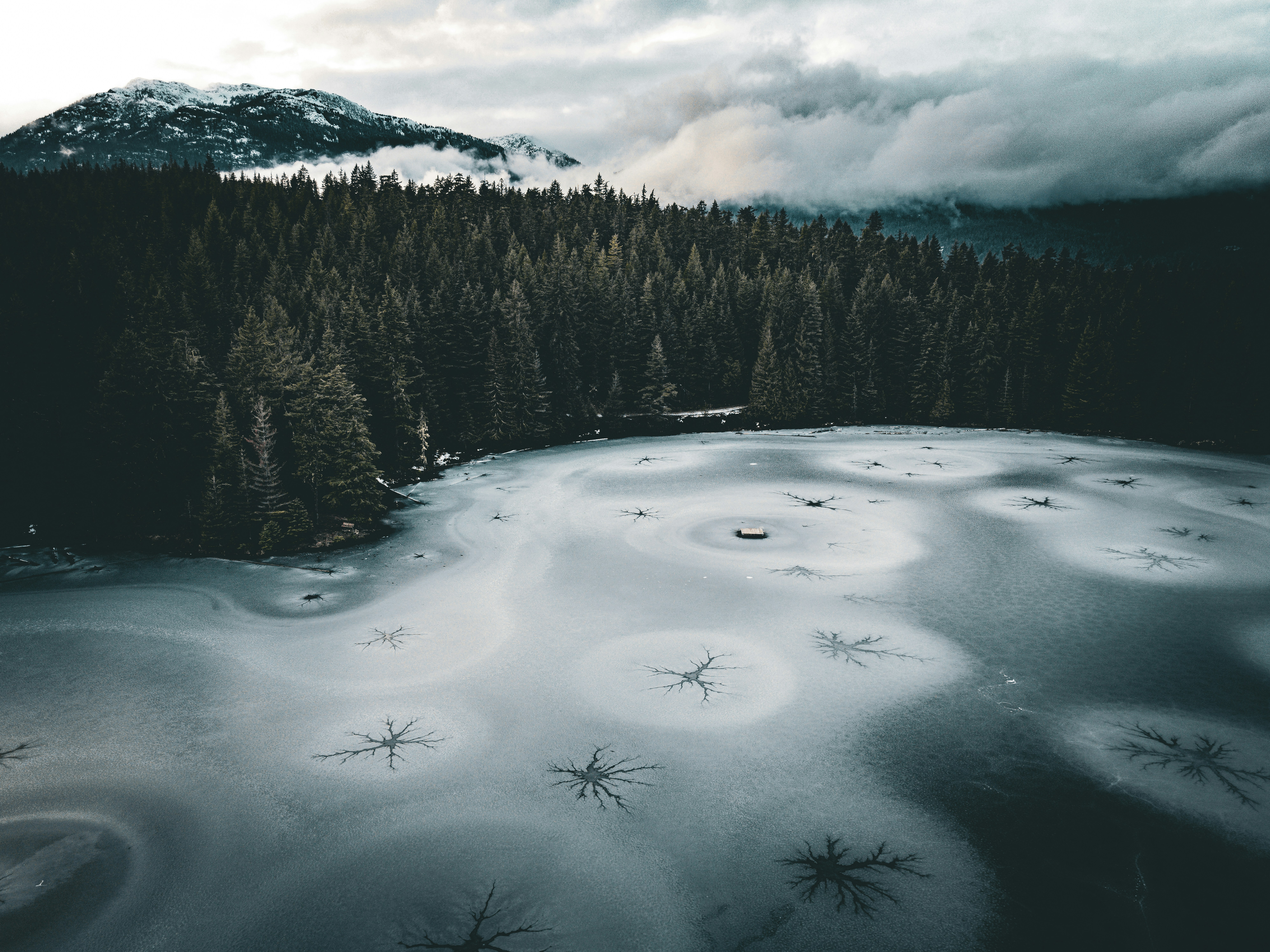 Photo by dillon_hunt