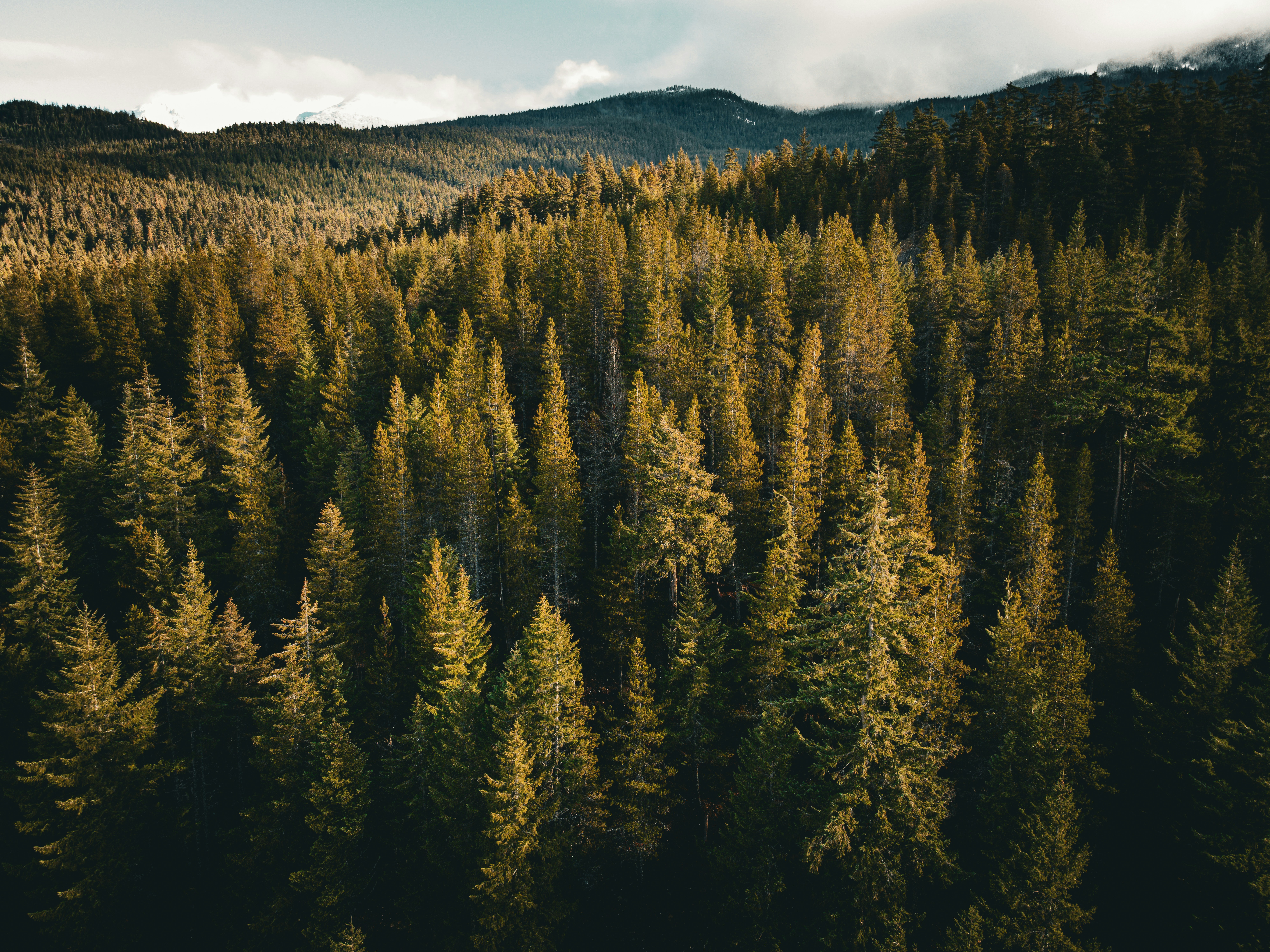 Photo by dillon_hunt