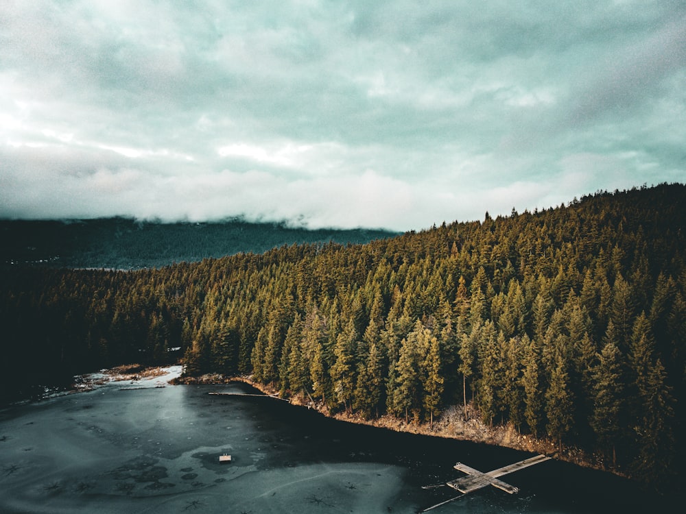 an aerial view of a lake surrounded by trees