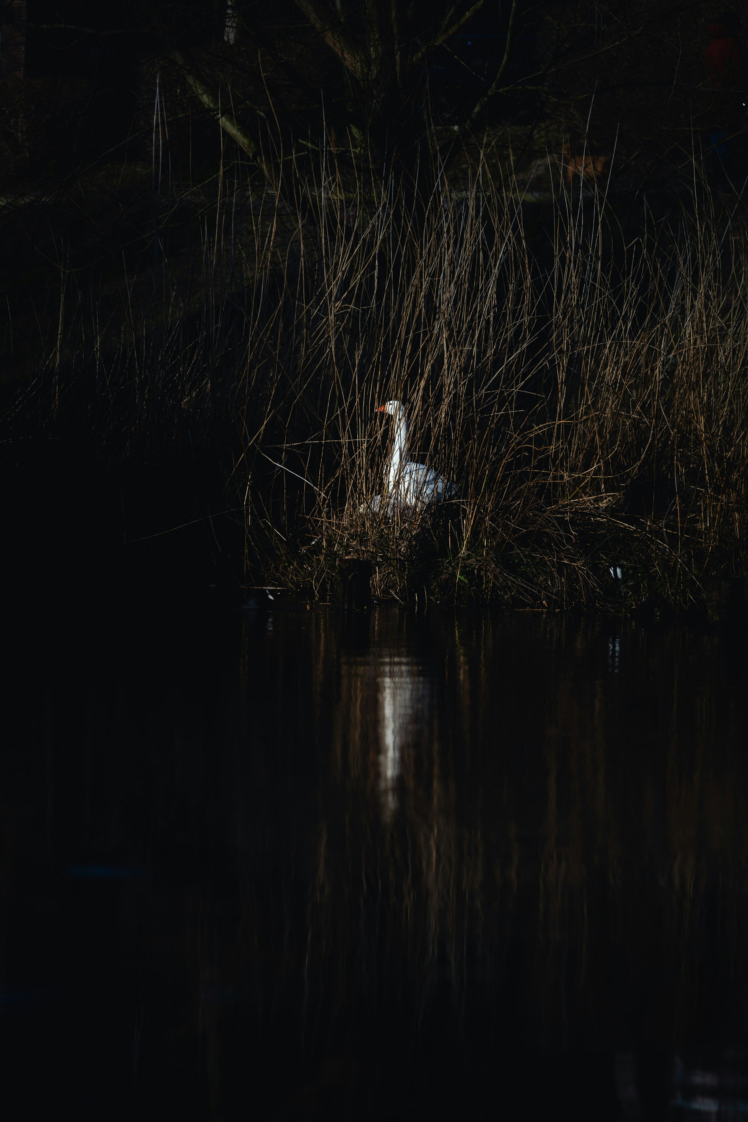 Photo by graddes