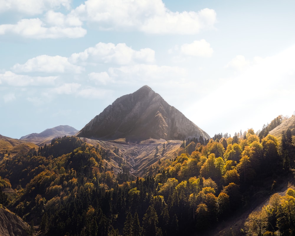 a view of a mountain range with trees in the foreground