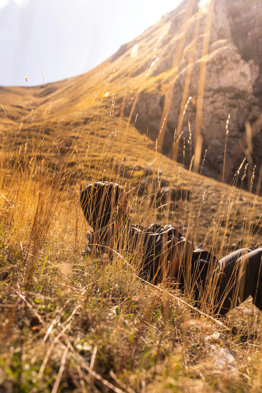 a field with grass and rocks in the background