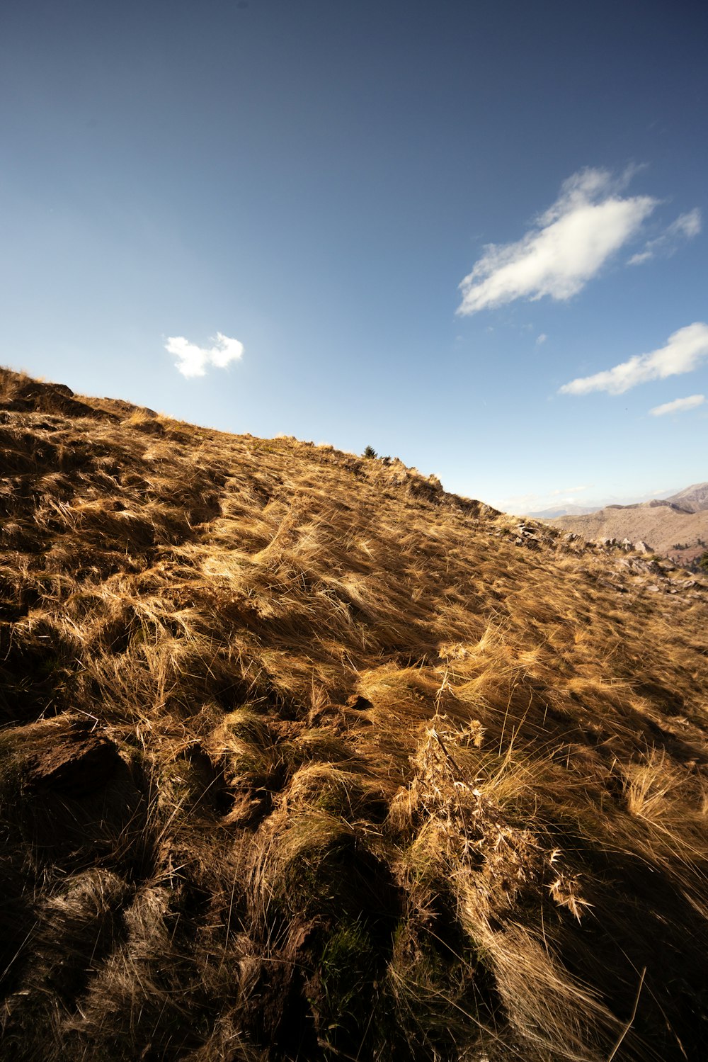 a grassy hill with a blue sky in the background