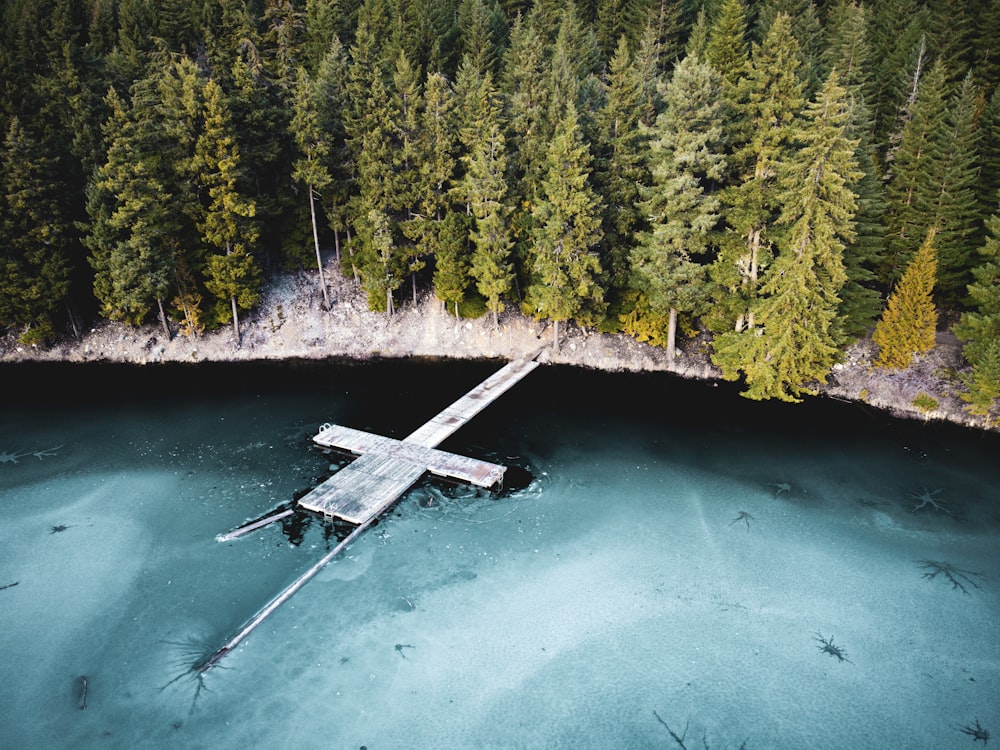 a plane that is sitting in the water