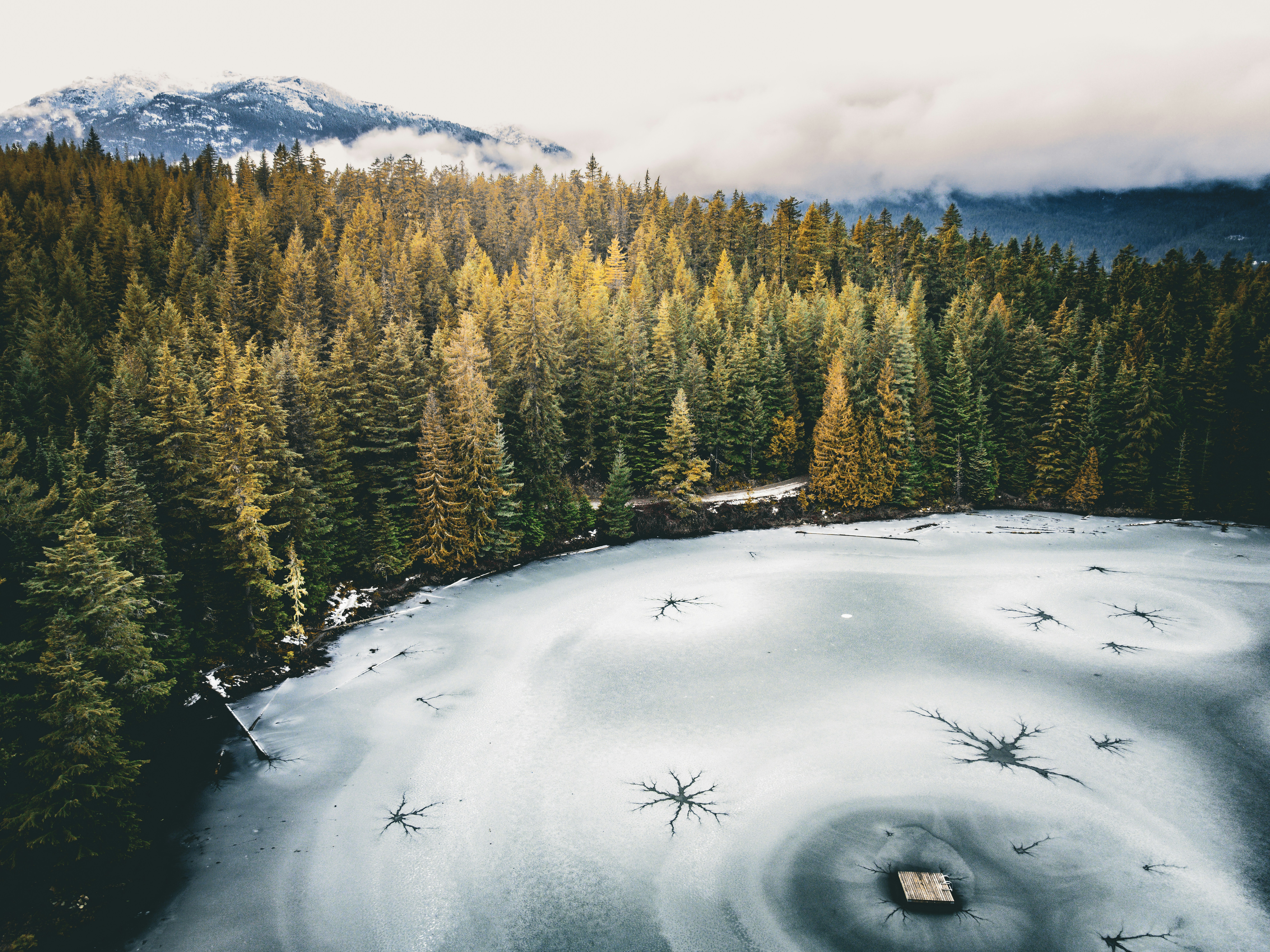 Photo by dillon_hunt