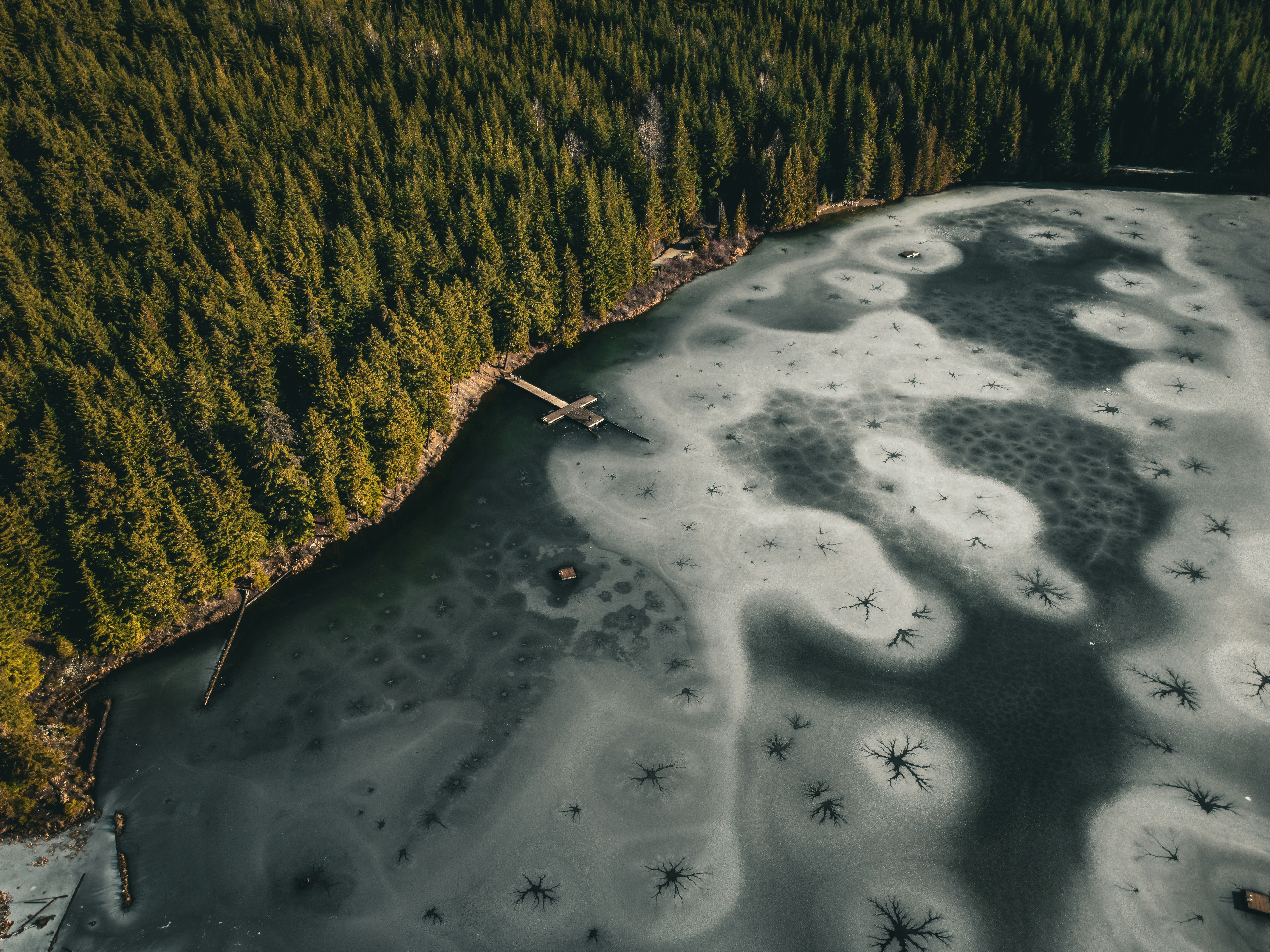 Photo by dillon_hunt