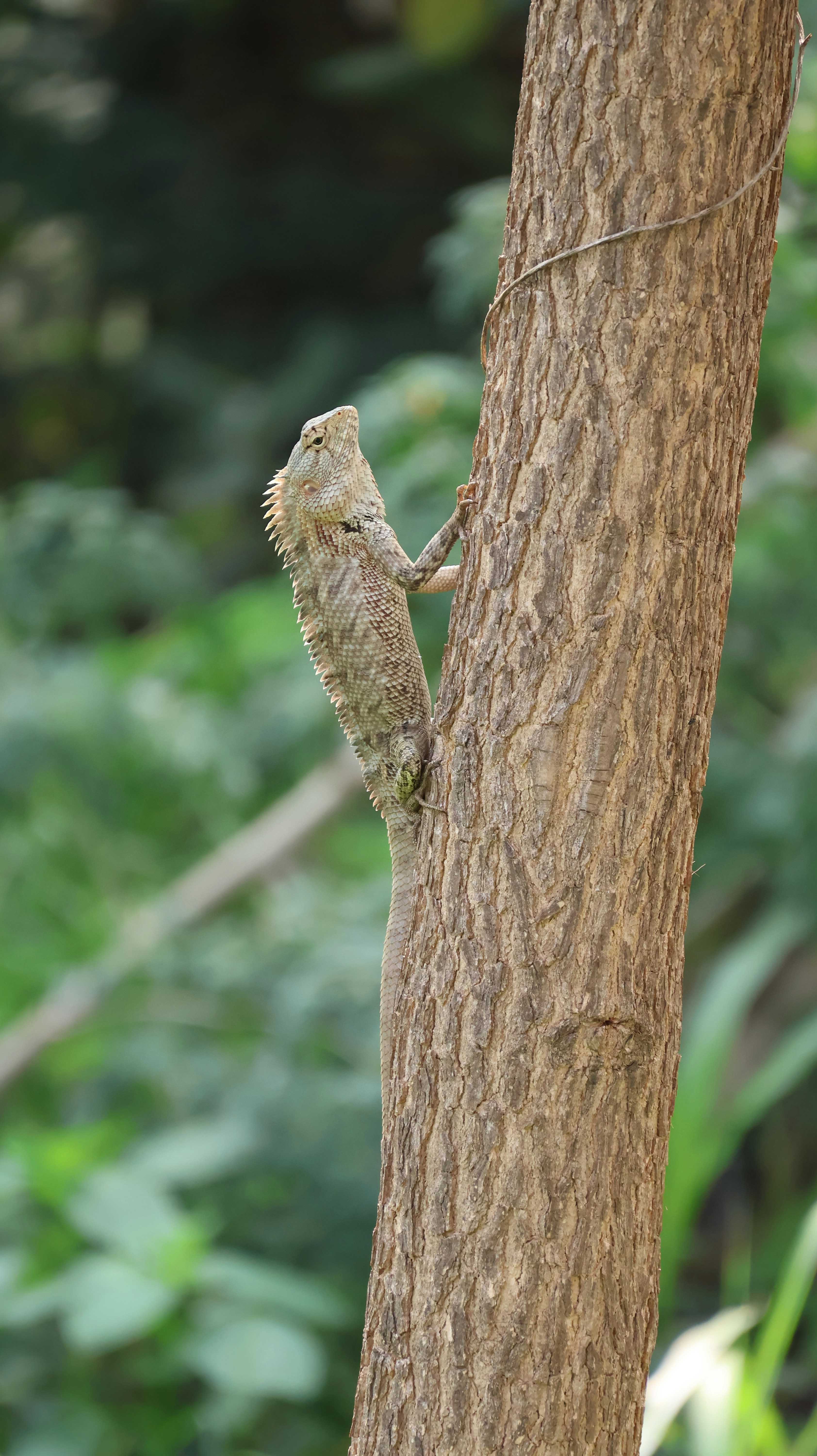 Photo by sunder_2k25