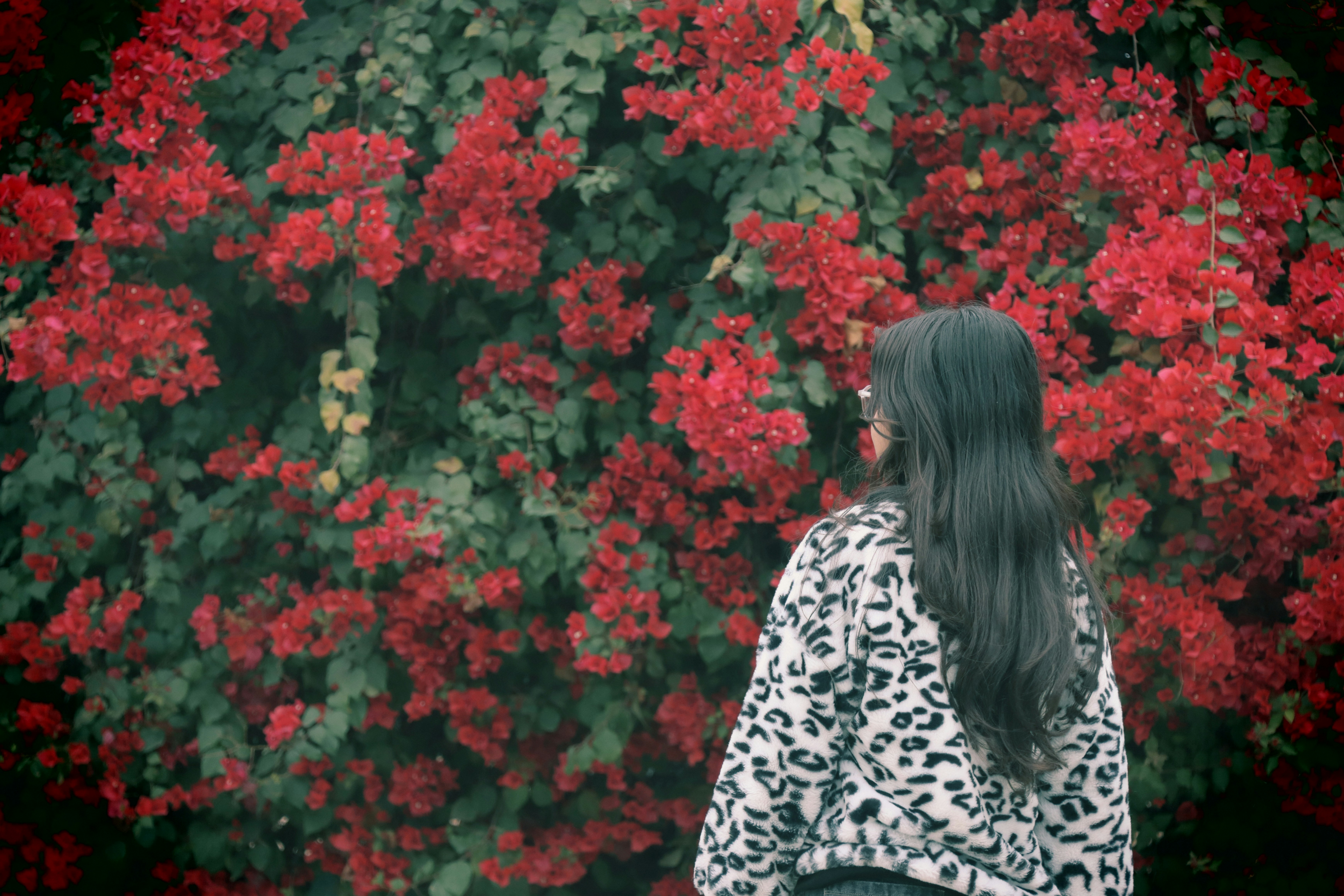 Photo by sanketgraphy