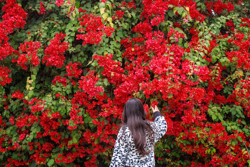 a woman taking a picture of a bush with red flowers