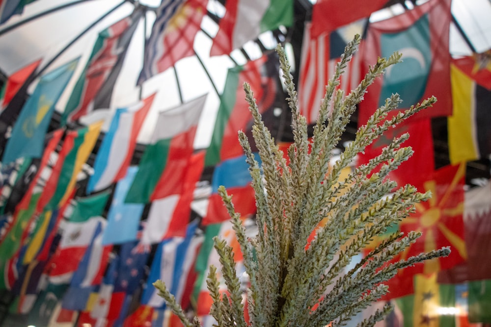 a bunch of flags hanging from the side of a building