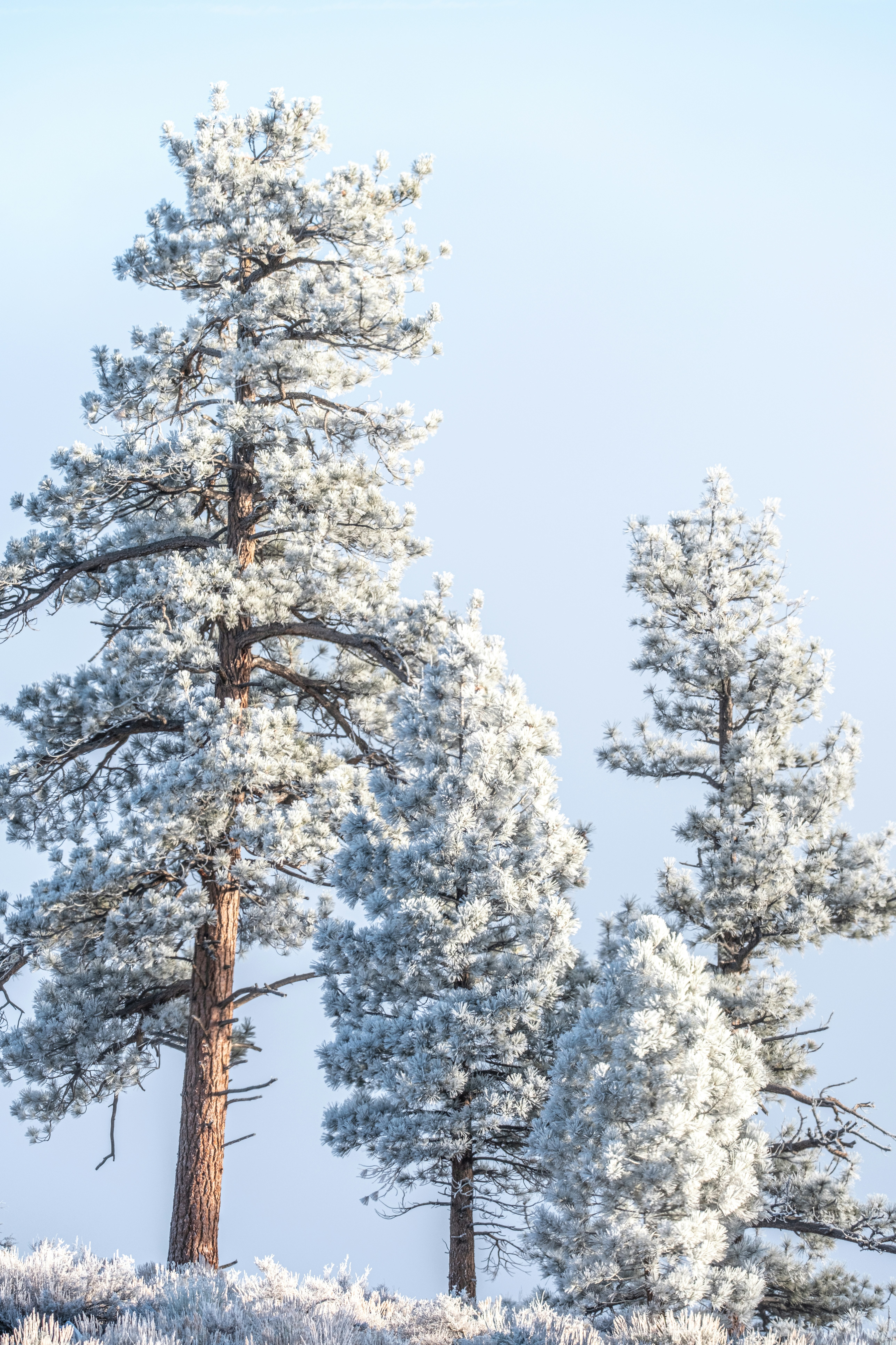 Photo by cestmoisheedy