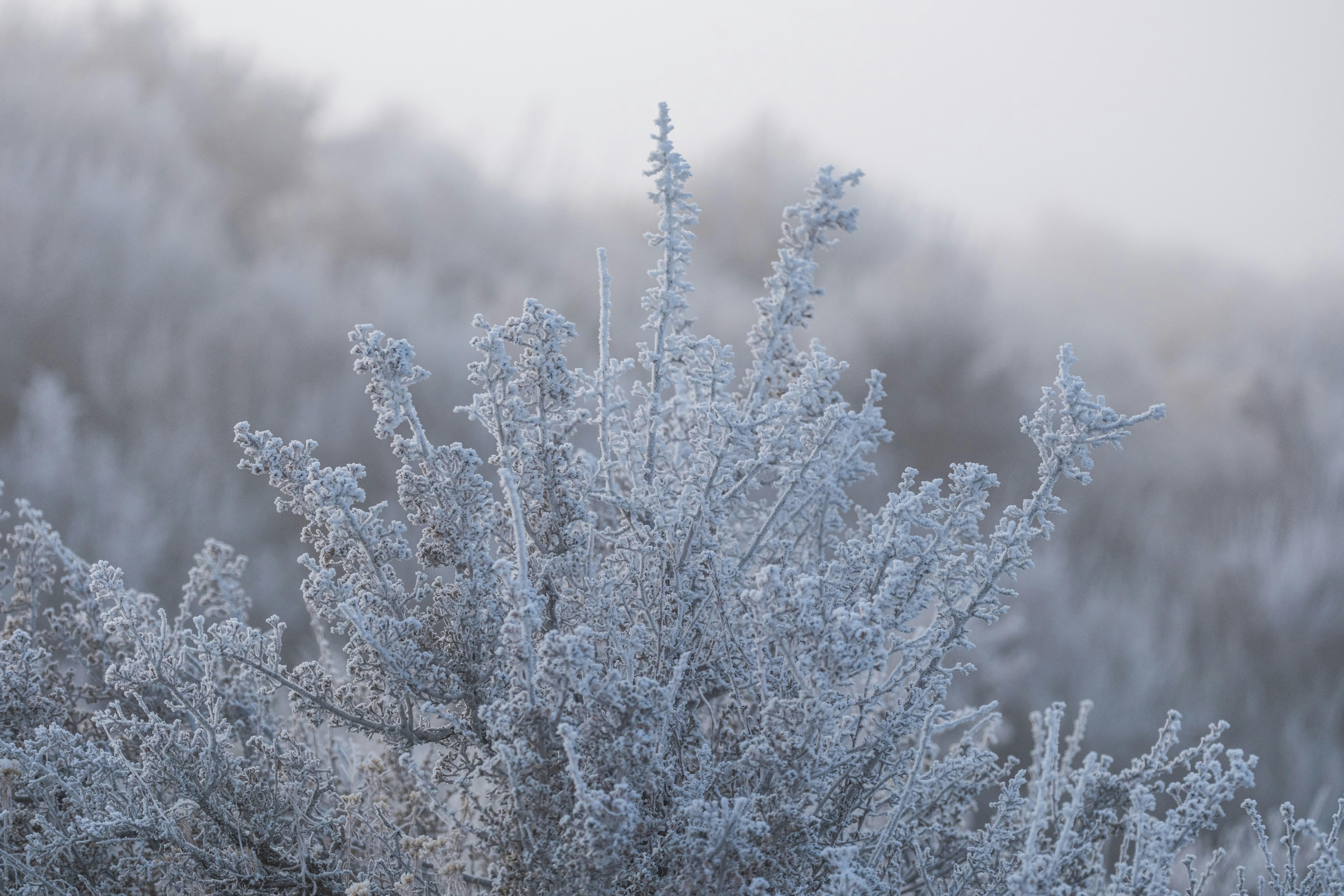 Photo by cestmoisheedy