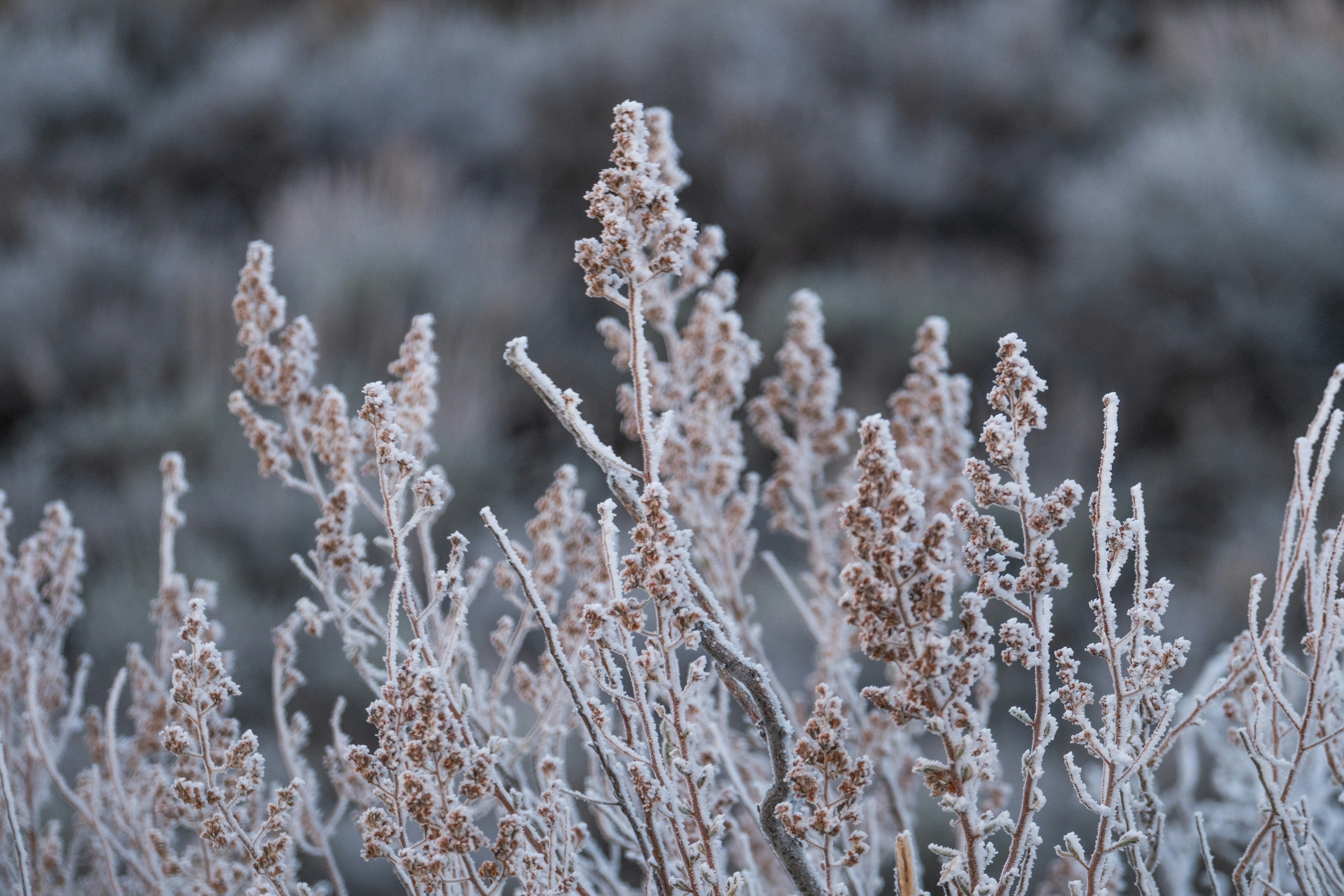 Photo by cestmoisheedy