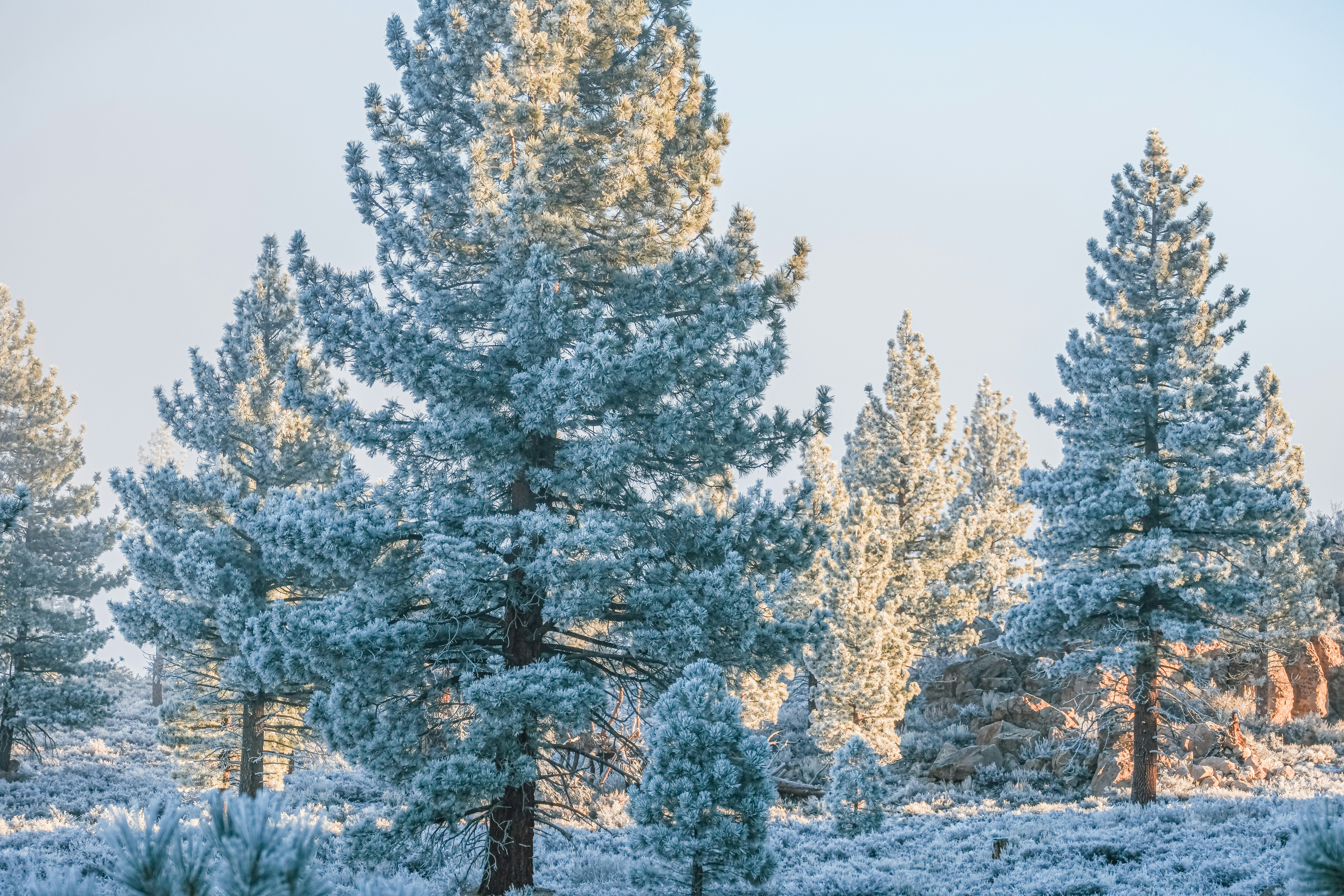 Photo by cestmoisheedy