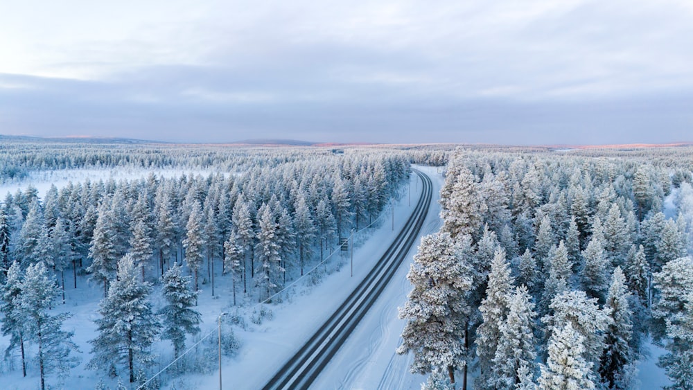 a train traveling through a snow covered forest