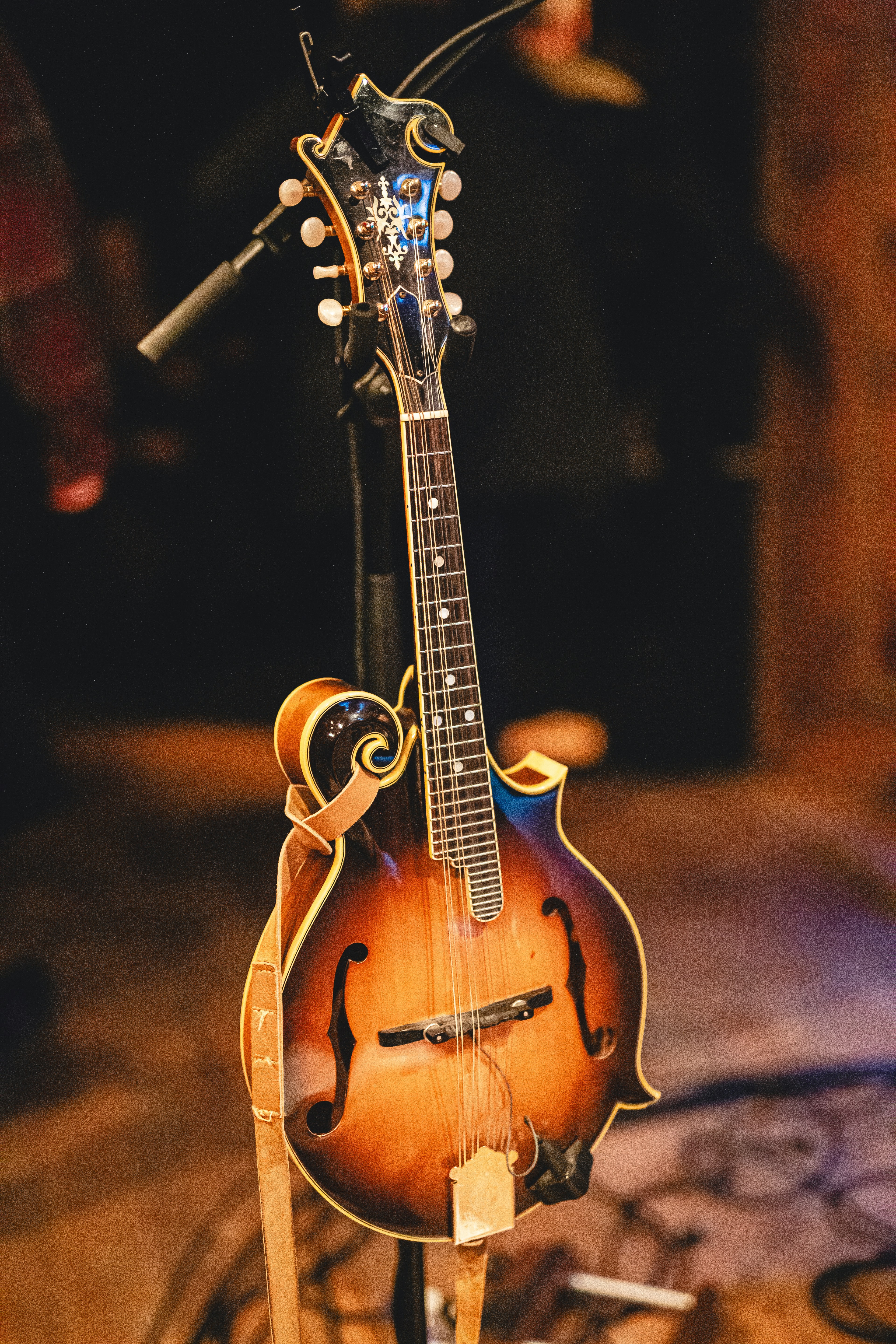 Top Mandolin Lessons and Teachers in L.A.