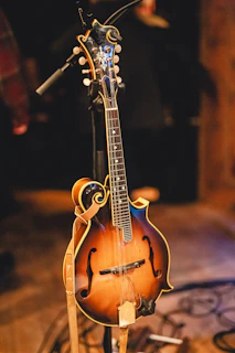 a mandolin sits on a stand on a table