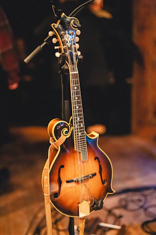 a mandolin sits on a stand on a table