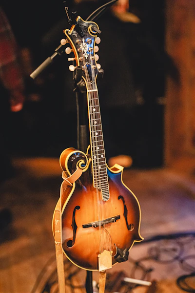 Mandolin lesson with Neil Curry