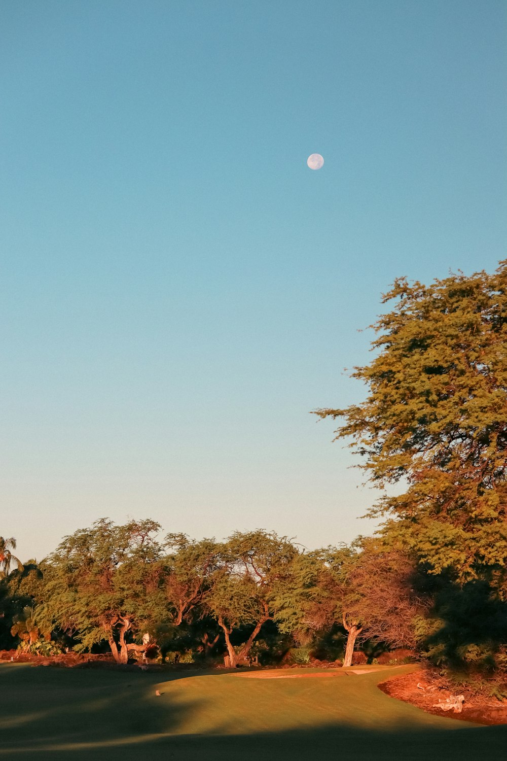 a full moon is seen in the sky over a golf course