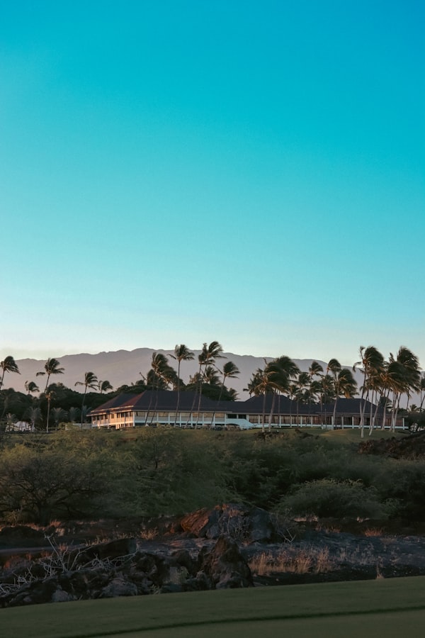 Palm Beach Gardens golf course palm trees tropical Florida