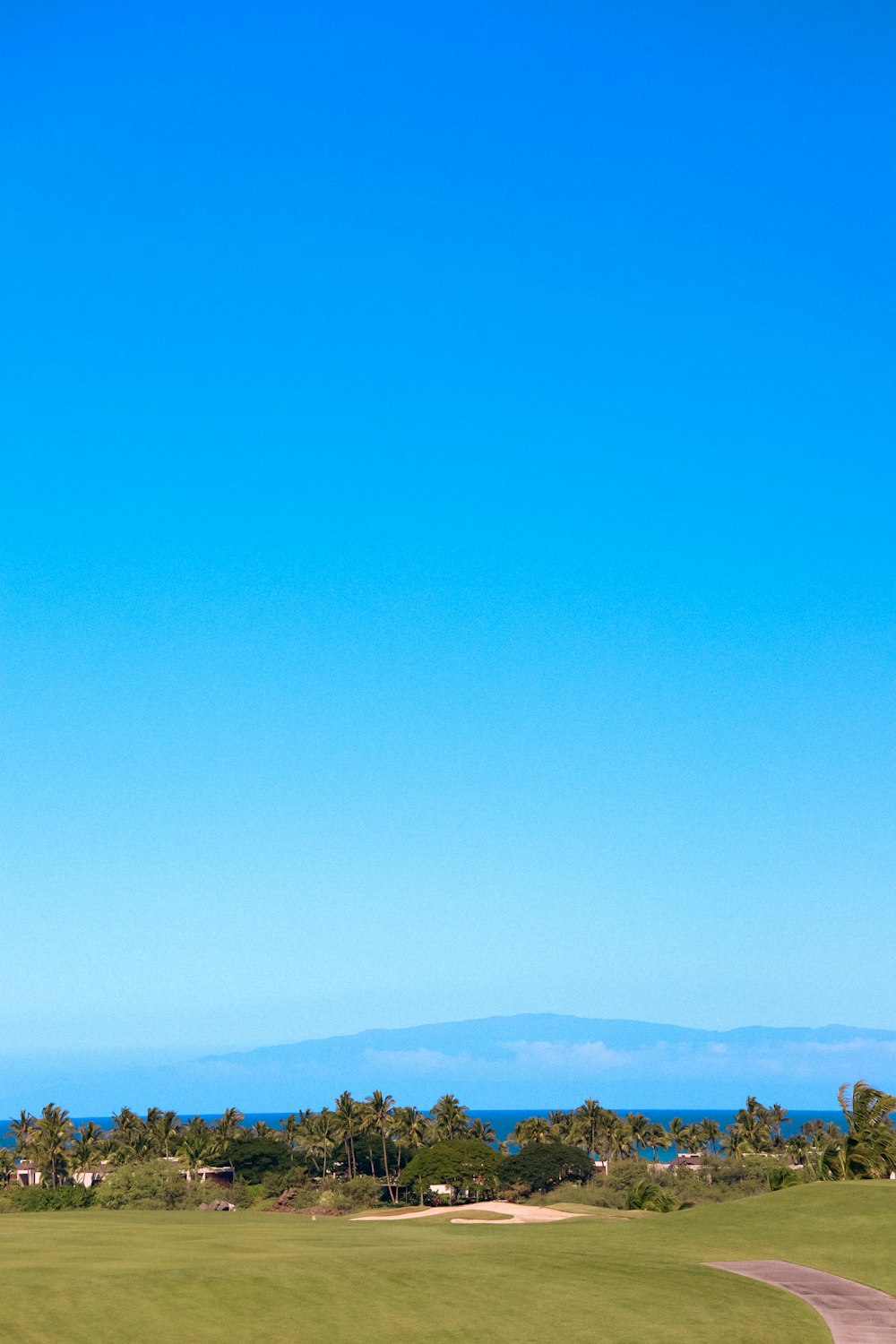 an airplane flying over a lush green field