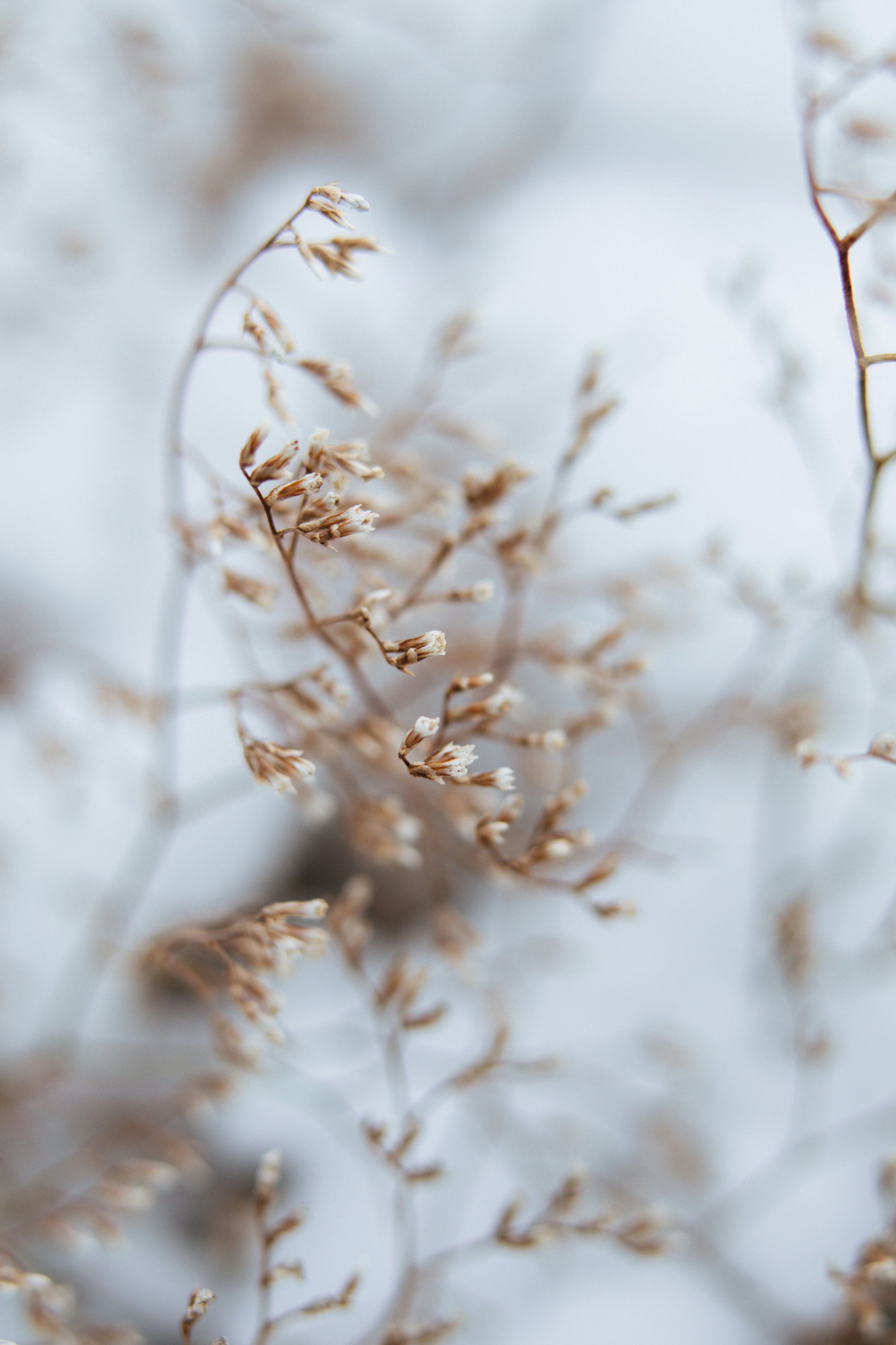 Photo by anamnesis33