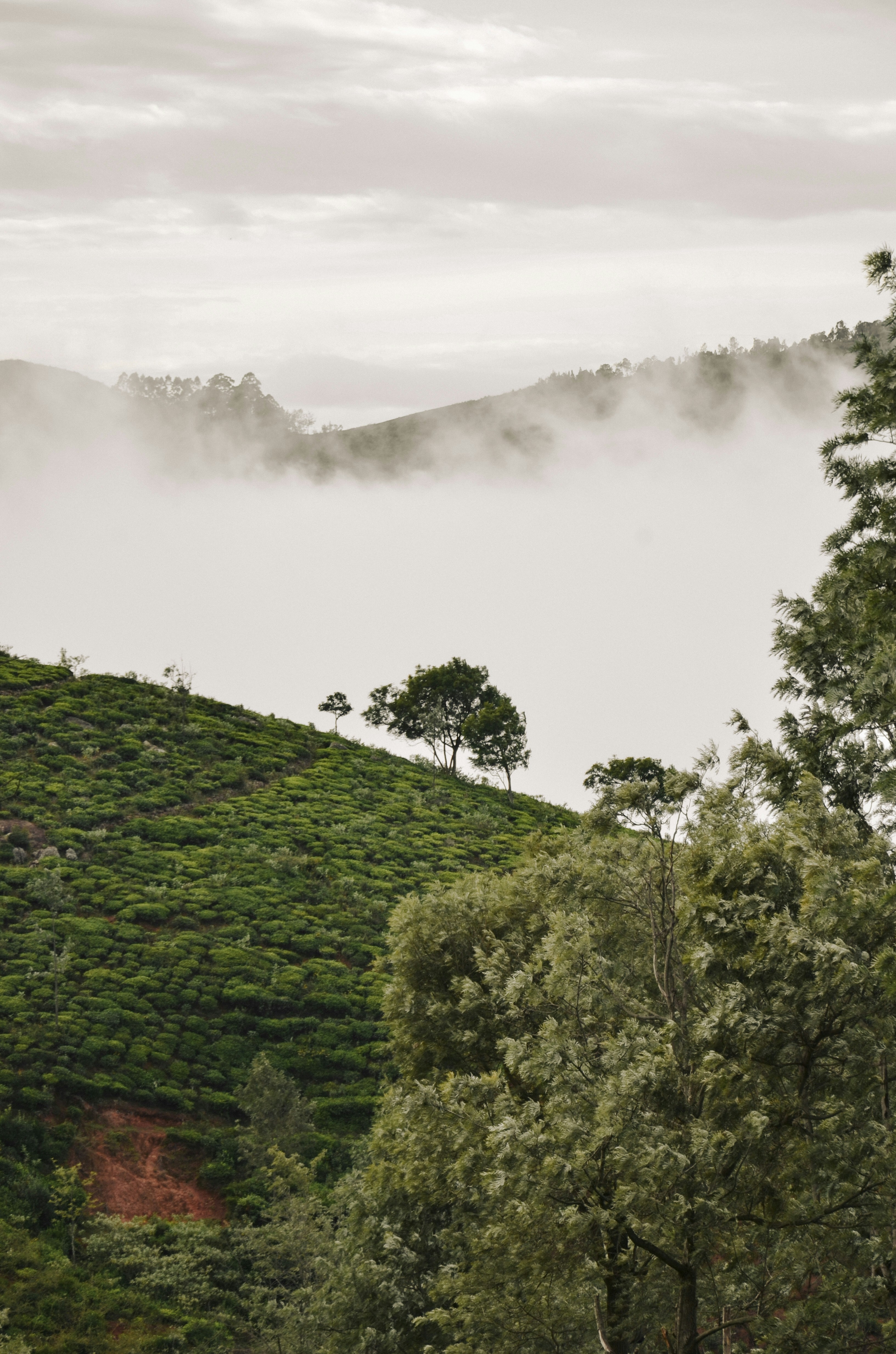 Photo by debargho_2006