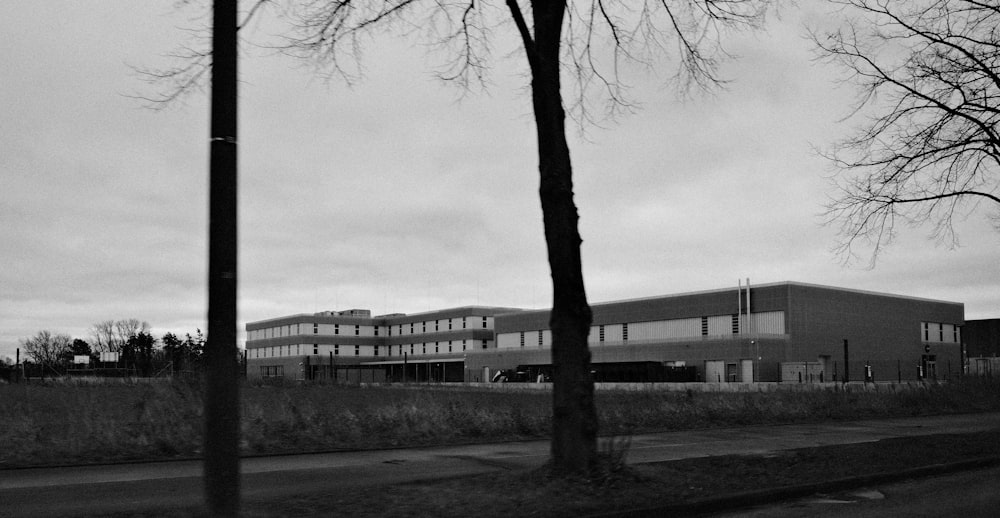 a black and white photo of a building and trees