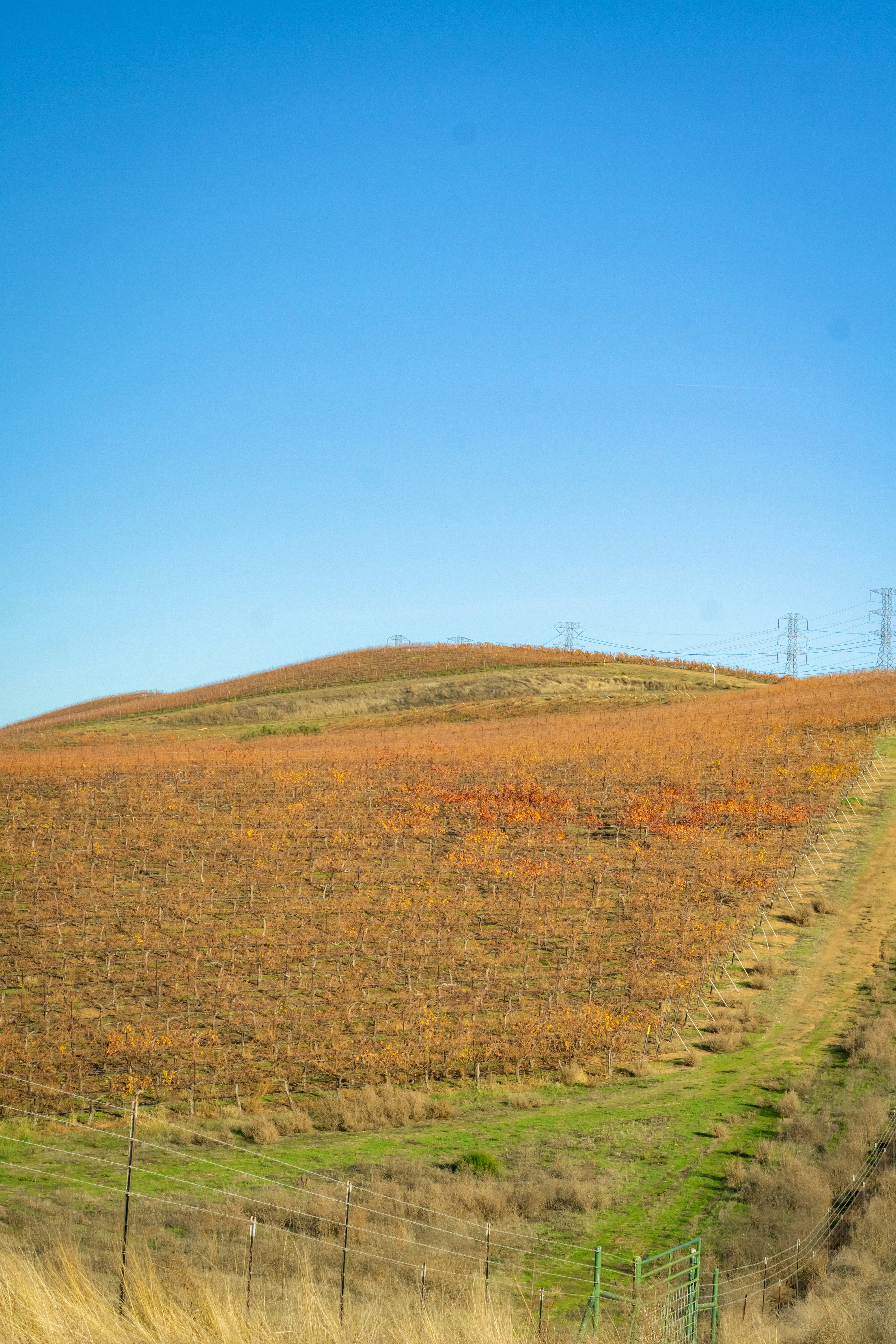 Photo by spencer_demera